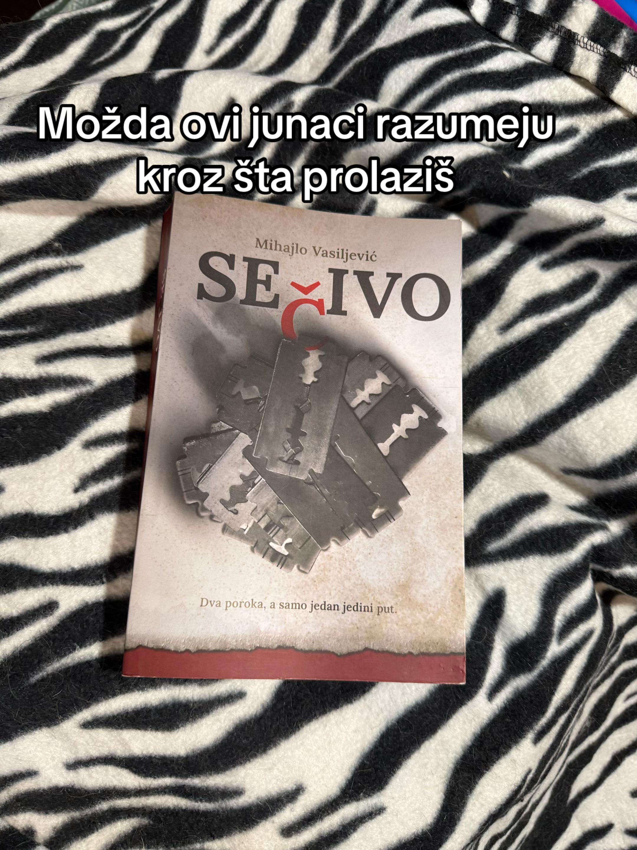 @mihajlovasiljevic