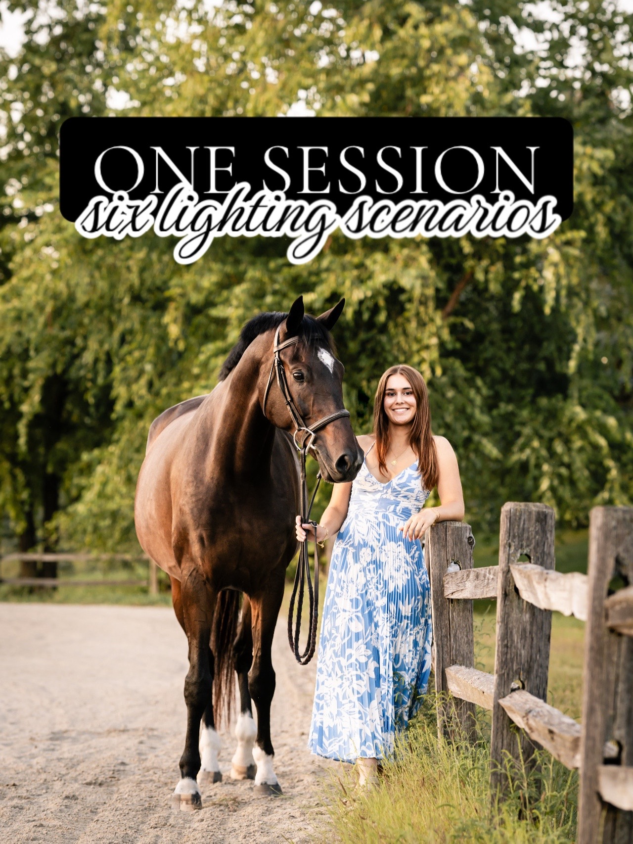 @Tisha 📸🦄 Equestrian Photog