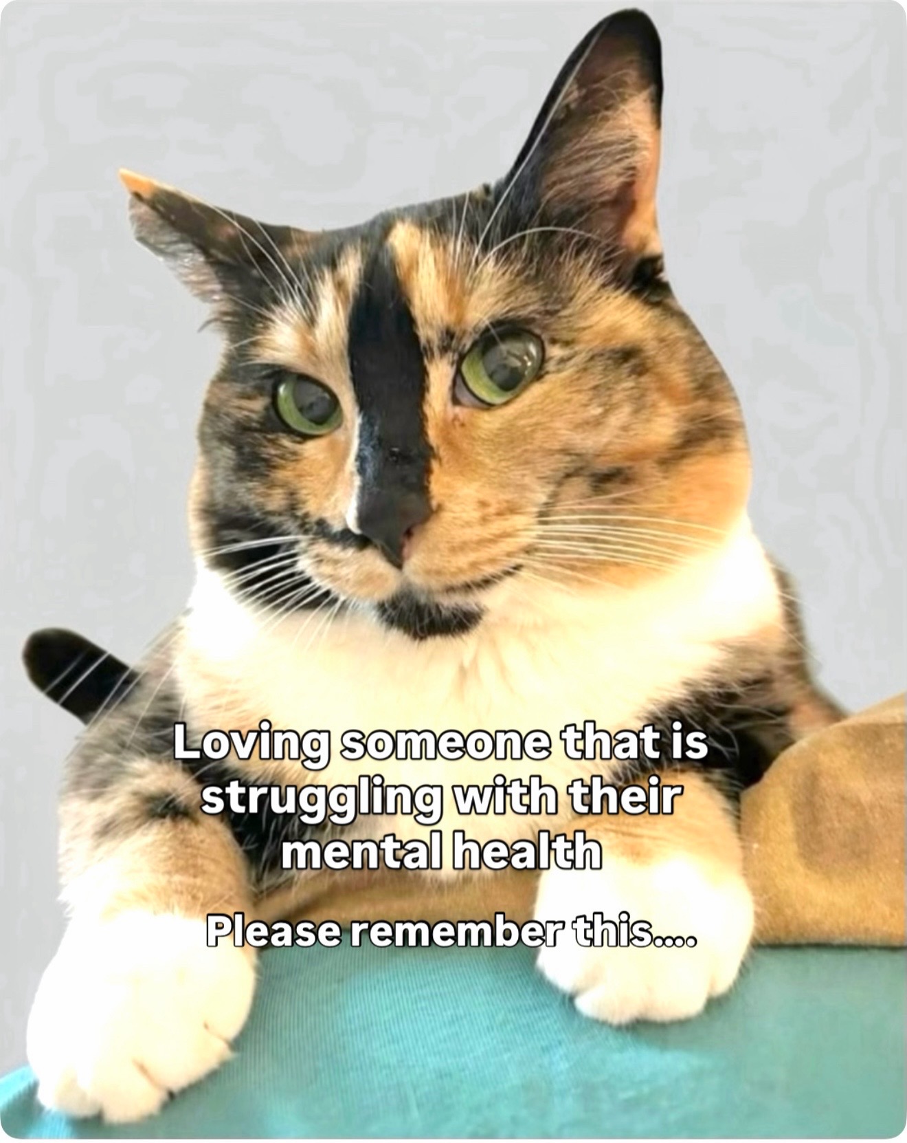 @SnickersTheSmilingCat