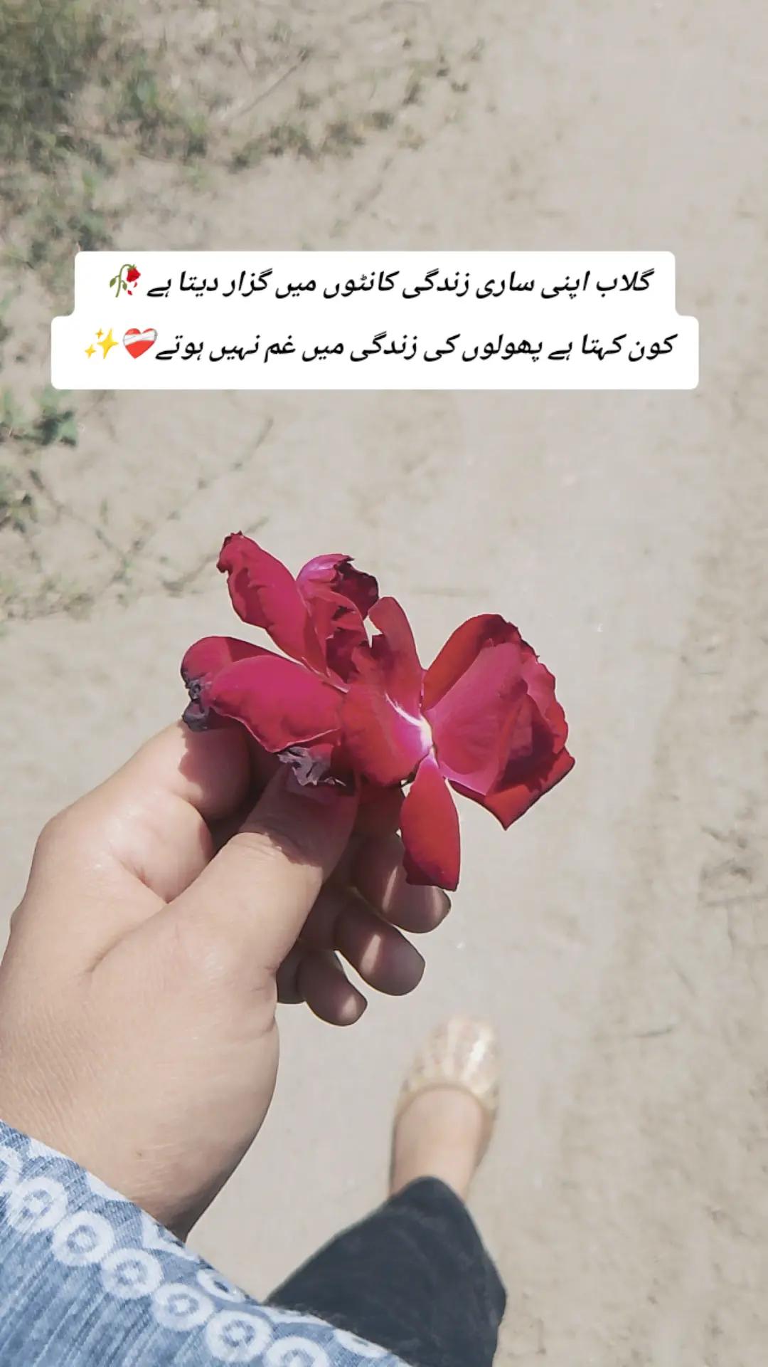@ع د🥀🍂