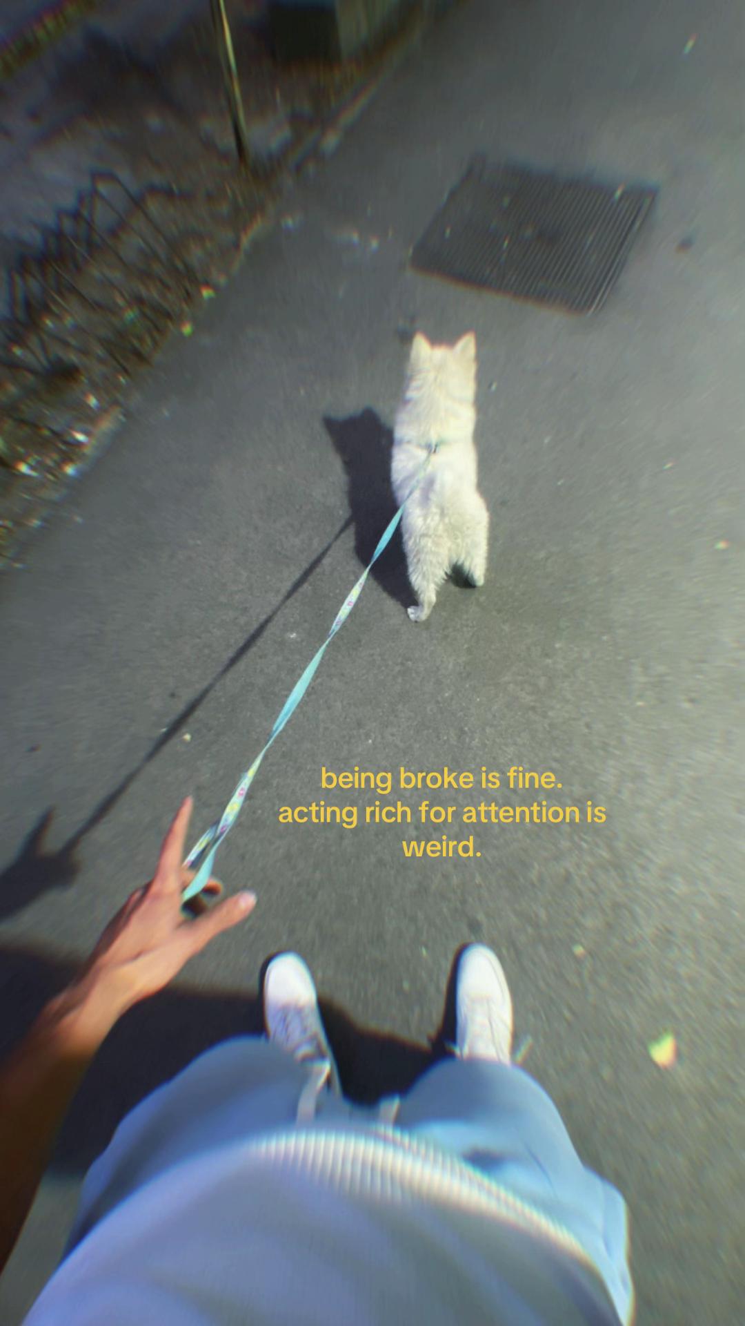 @𝓷𝓸𝓿𝓪𝓴💫