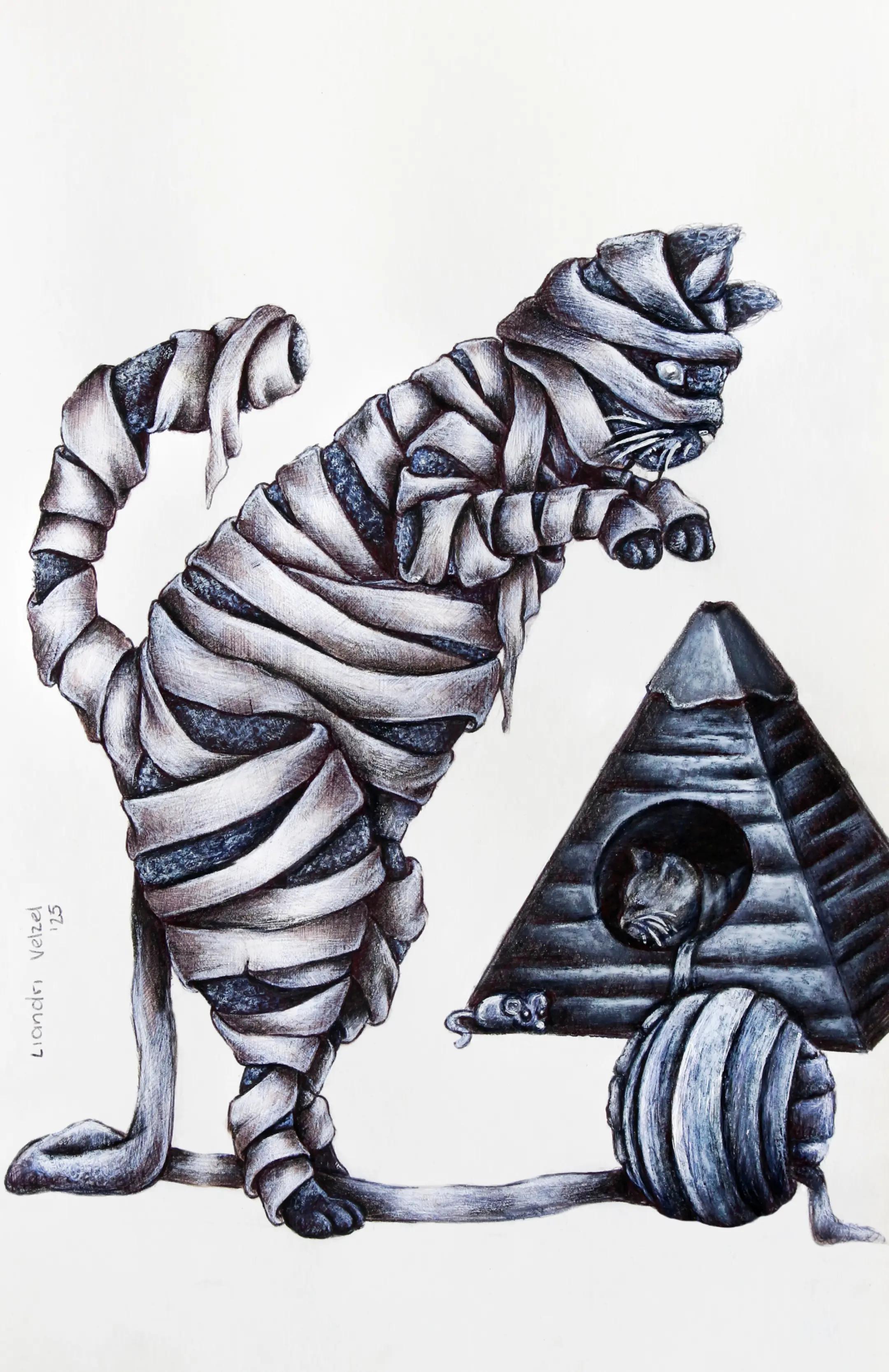 @Liandri Velzel 🎨🇿🇦🇳🇱