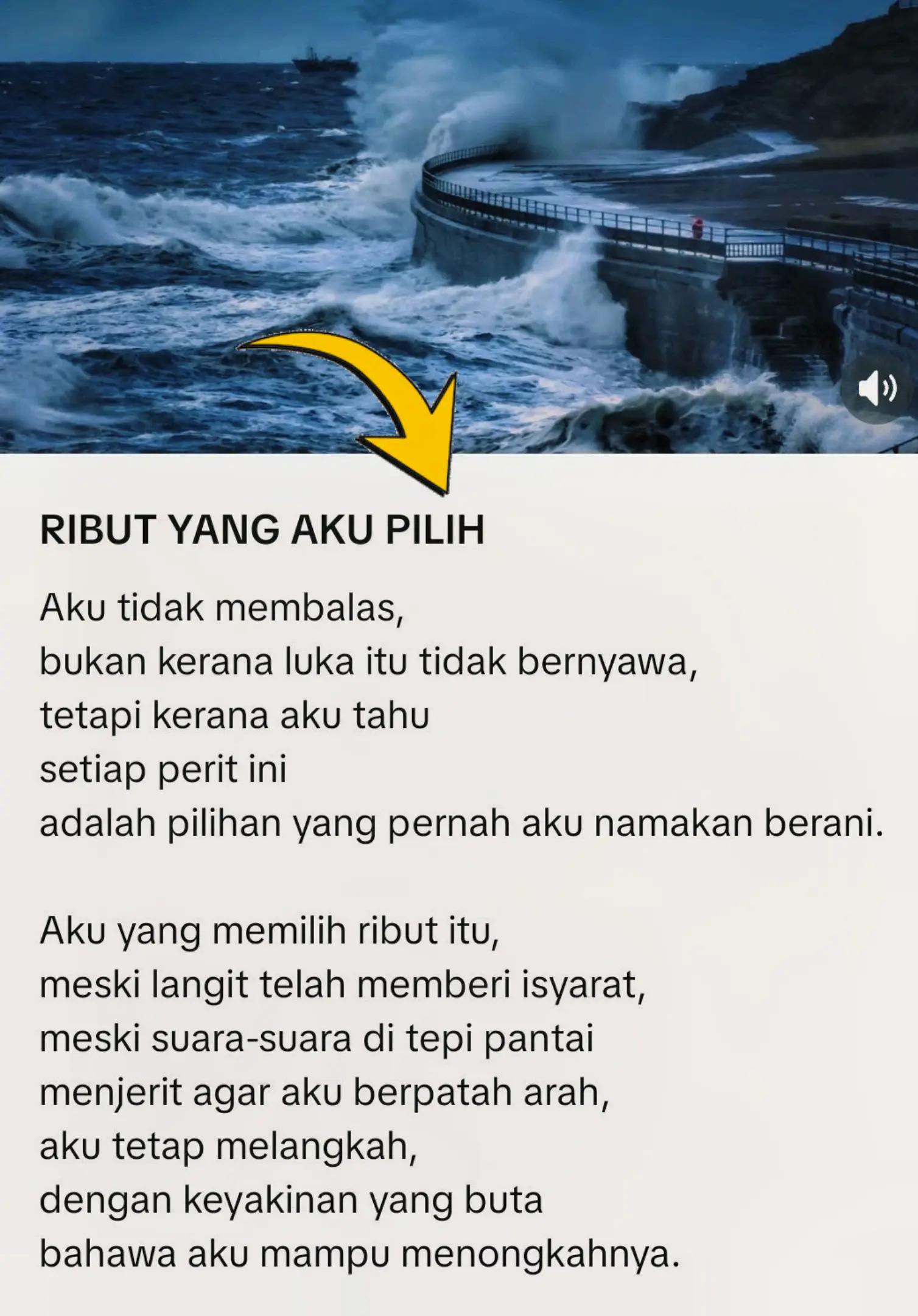 @BORA