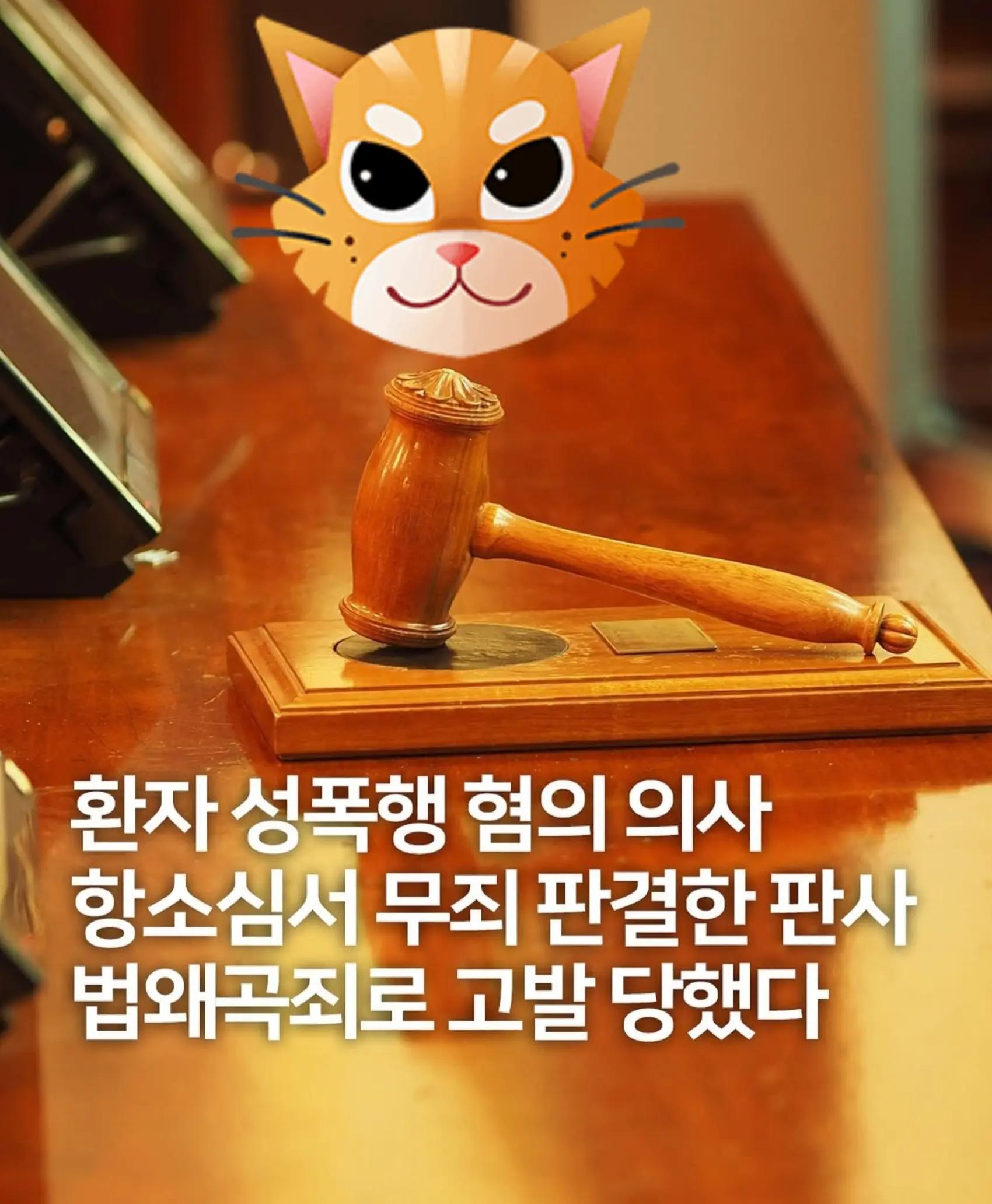 @🌺시라소니[본]🌺