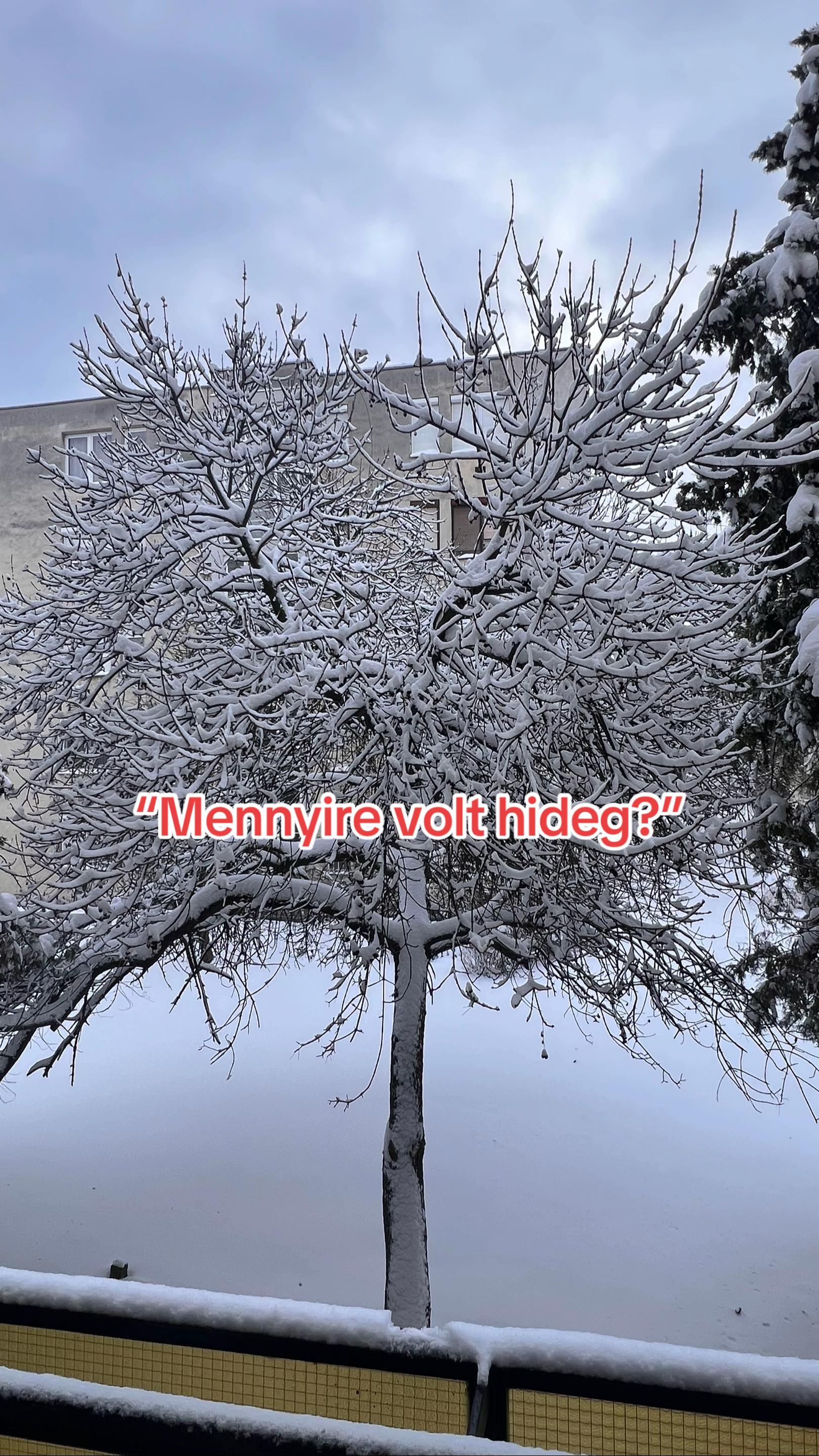 @๐๐๐๐๐๐๐๐๐ฉ