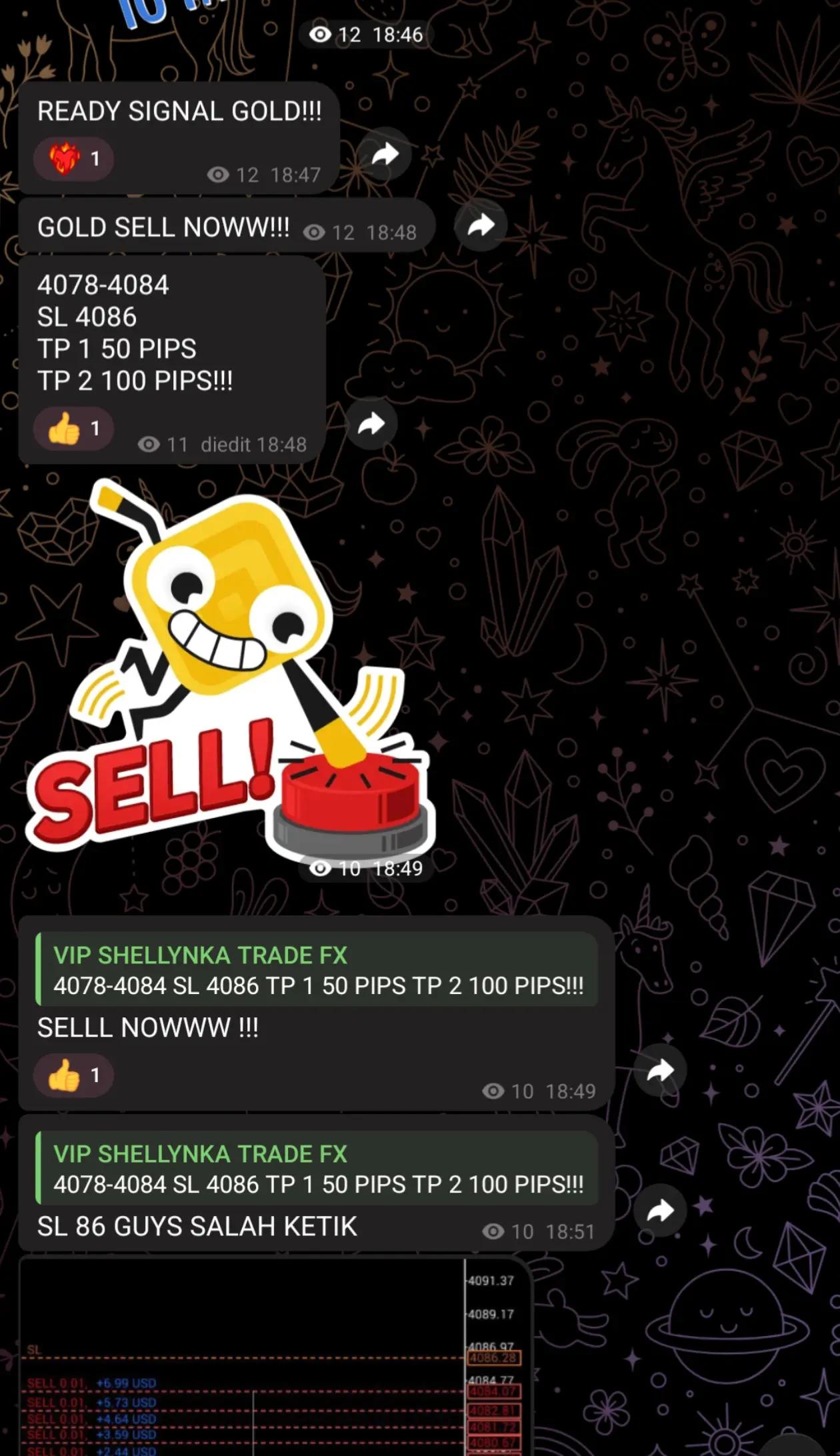 @SHELLYNKA FX