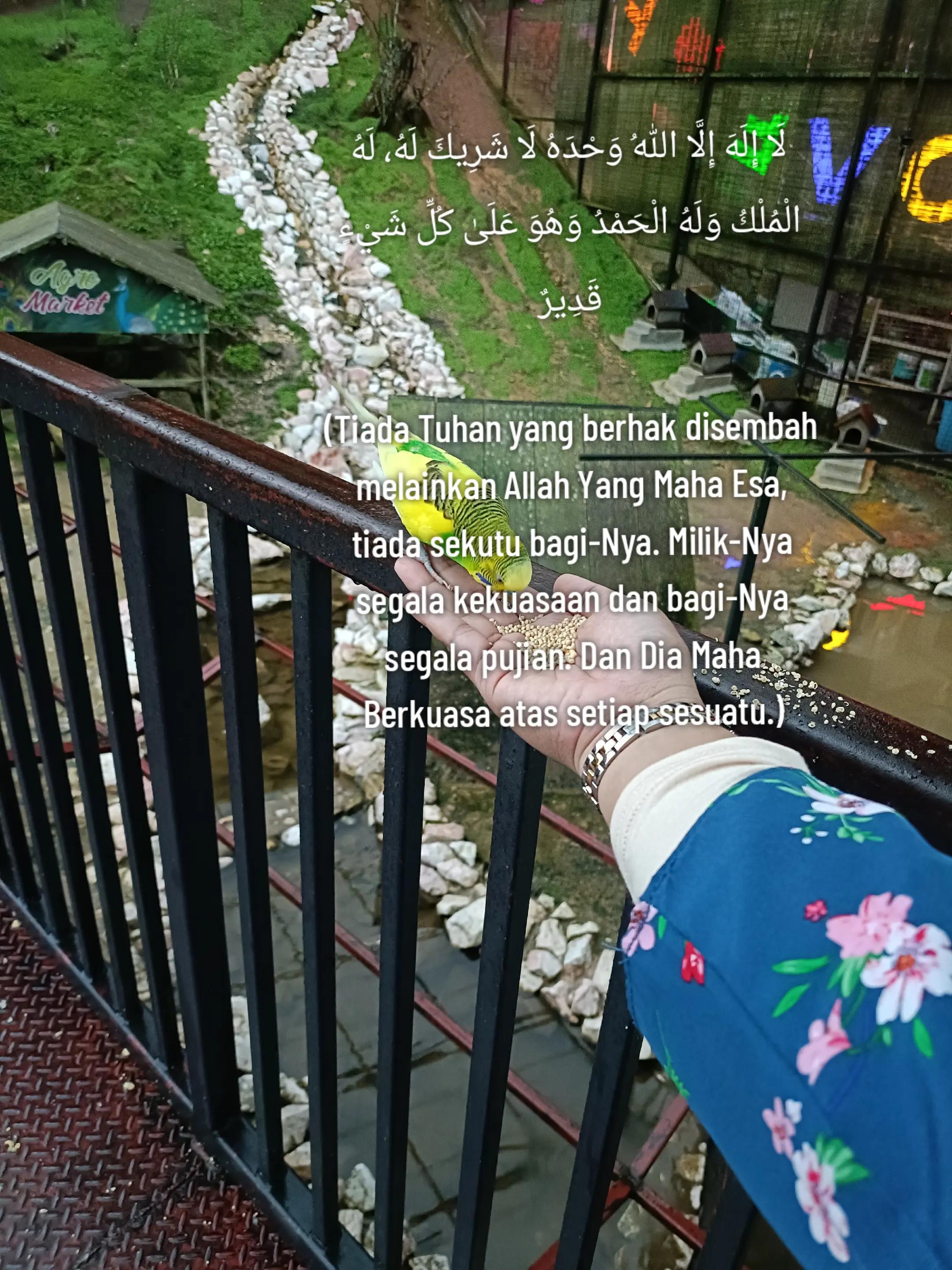 @Umieww