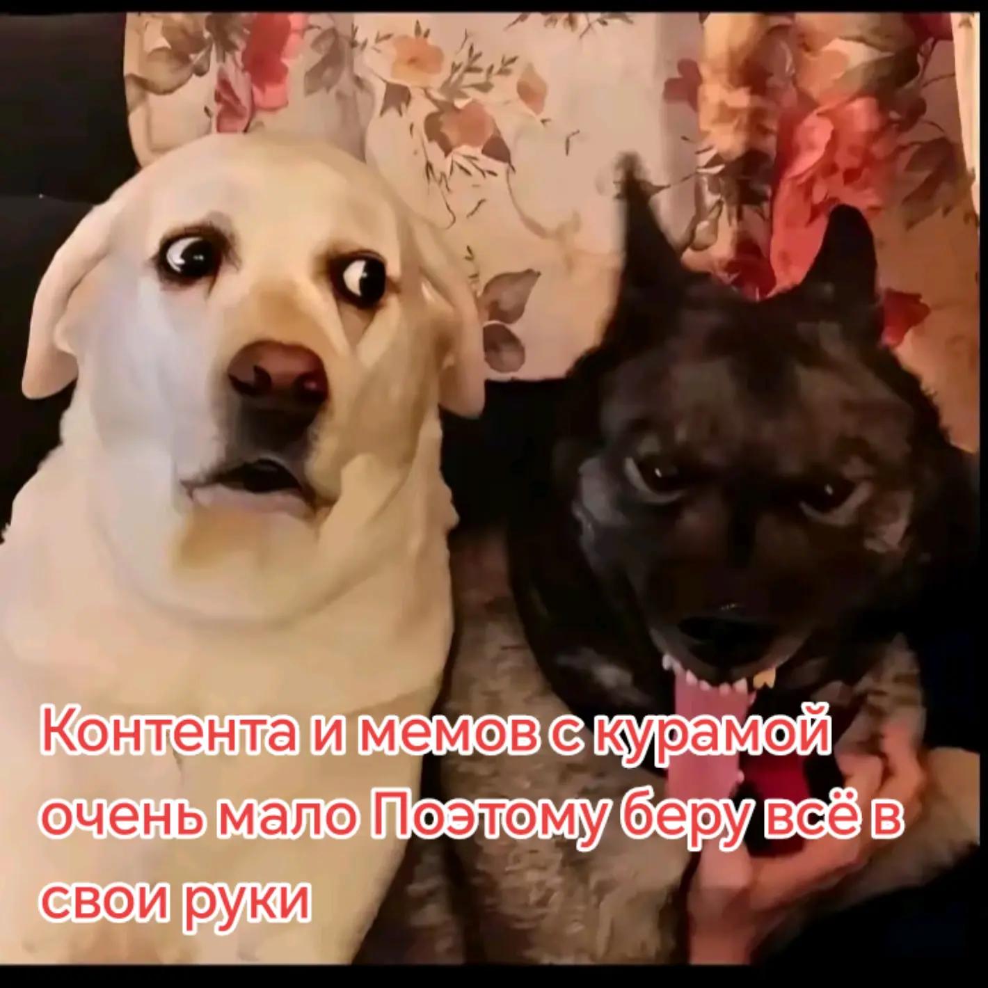 @𝗞𝗨𝗥𝗔𝗠𝗔