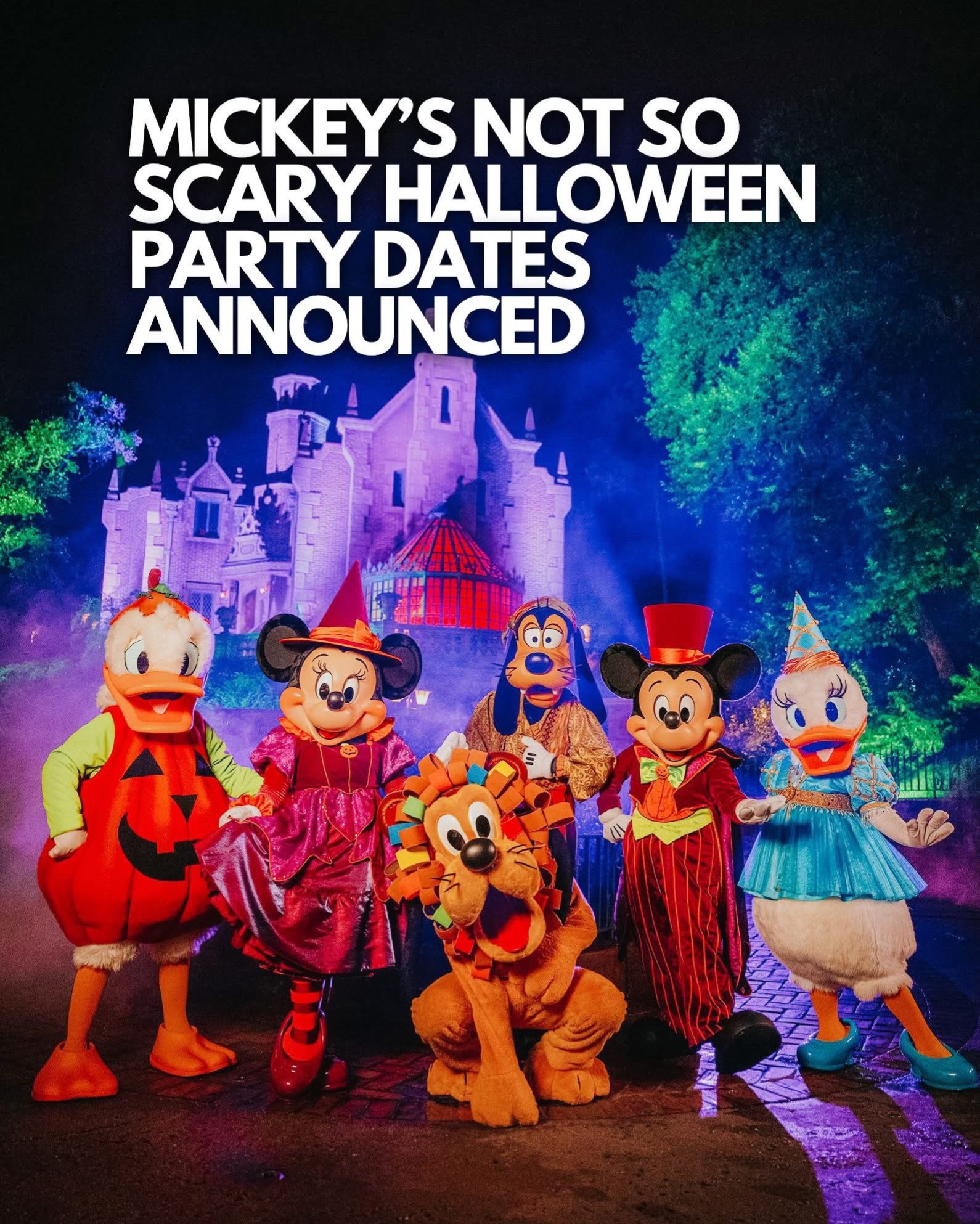 @Disney Trip&Tips With Tiny