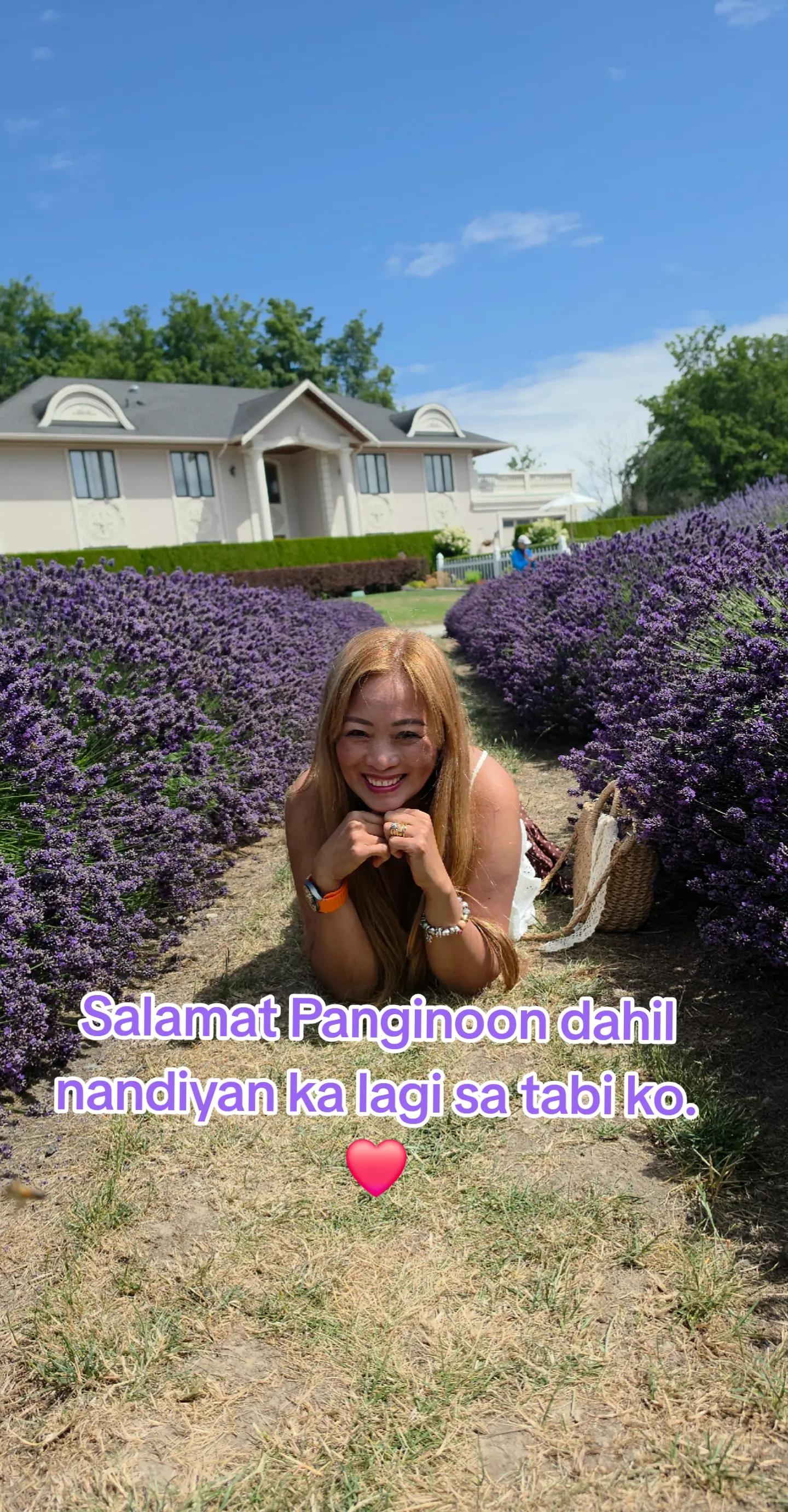 @Norli Cue