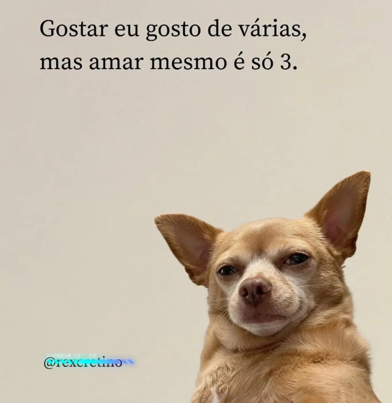@MARCOS 🤑