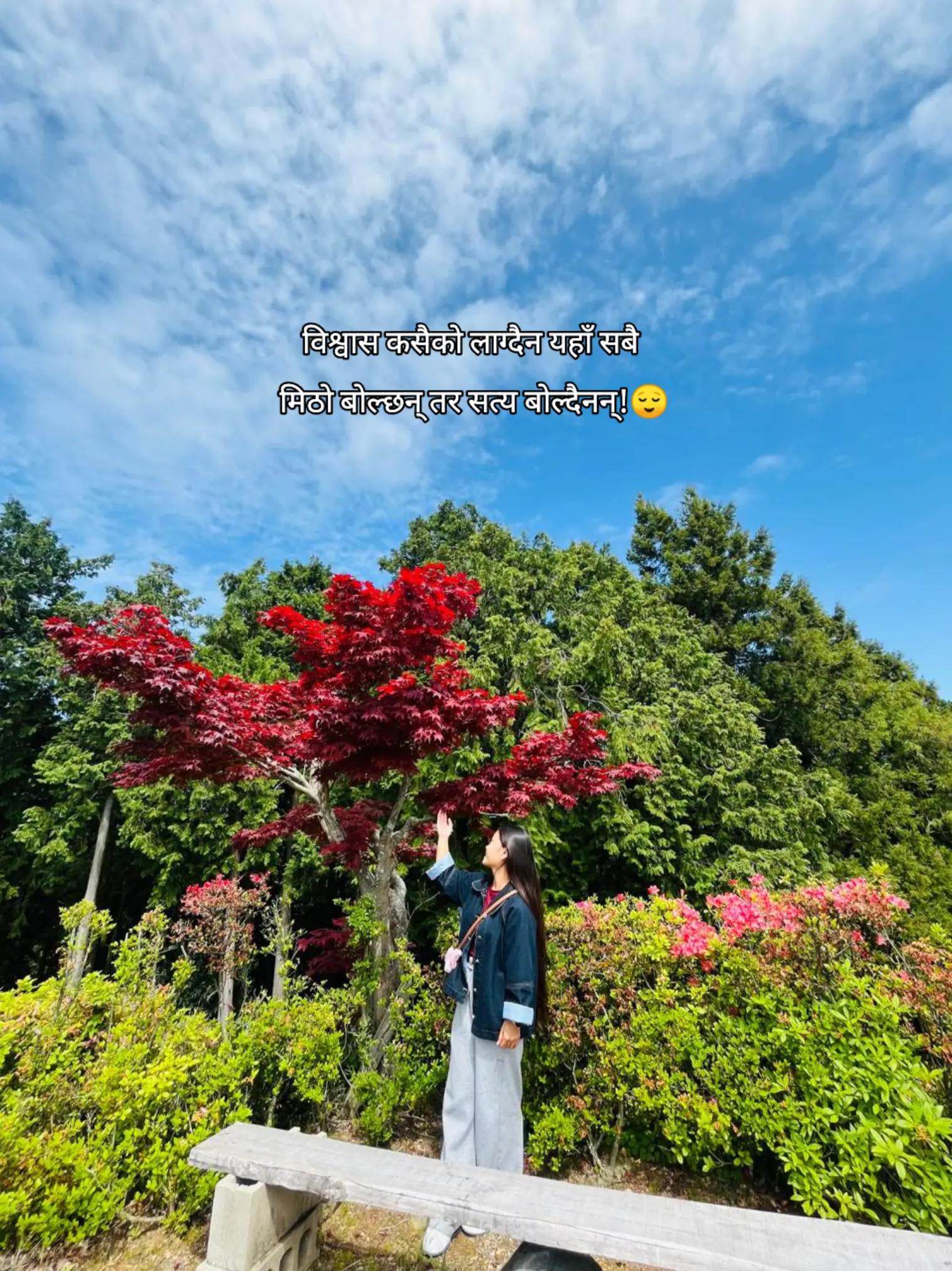 @Gurung Devika🦭