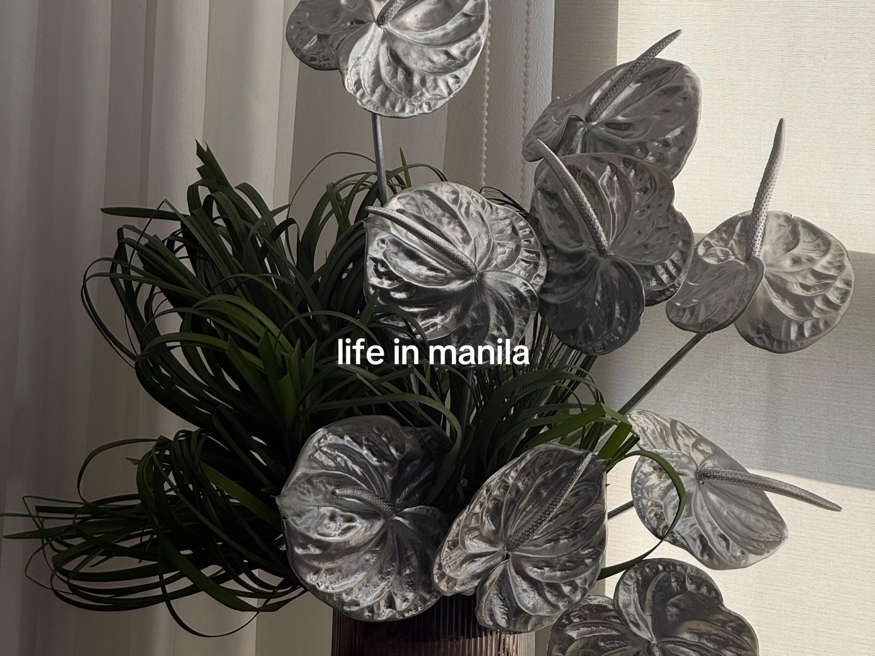 @David Guison 🇵🇭