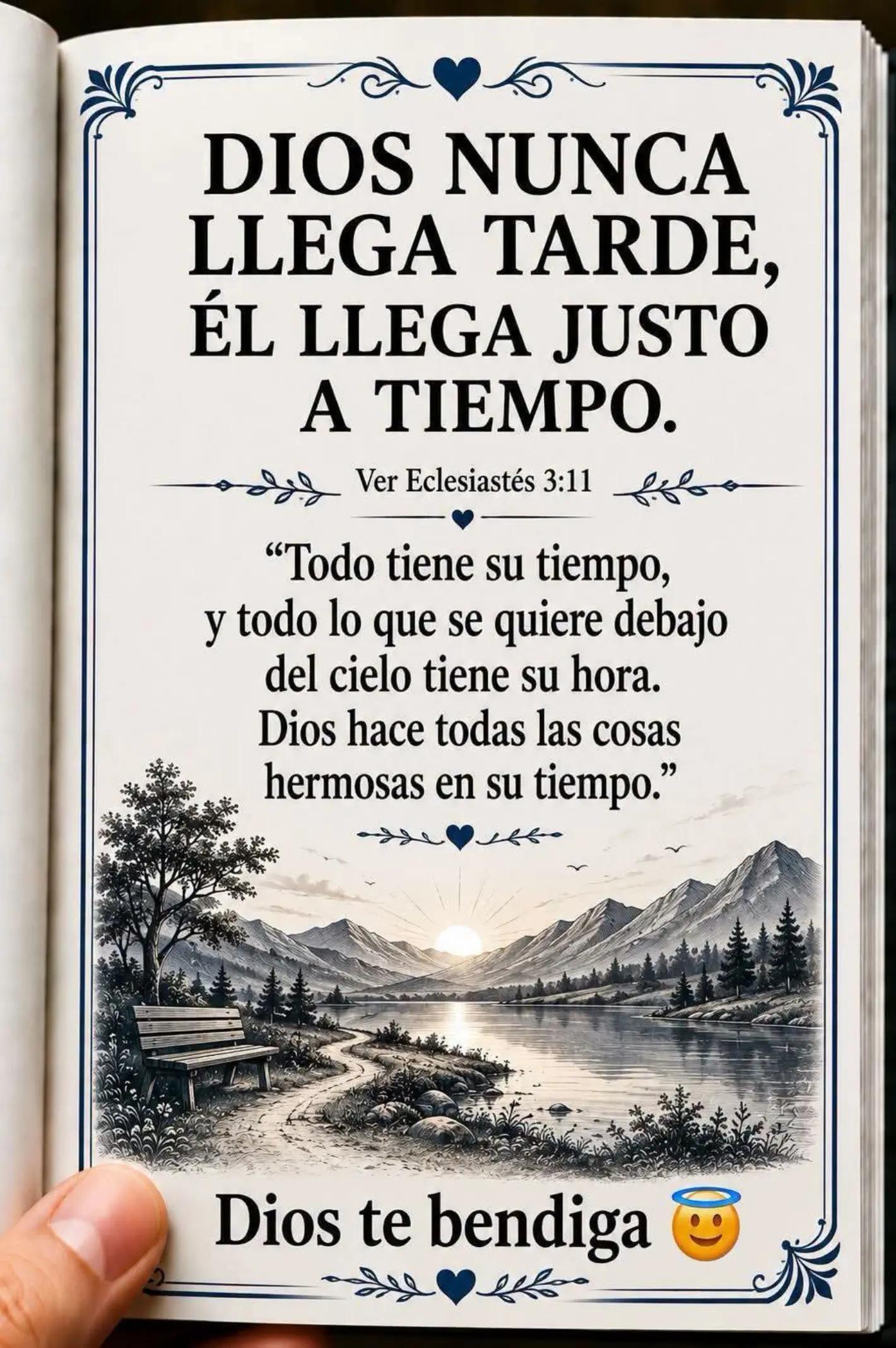 @Francisco Valdivia