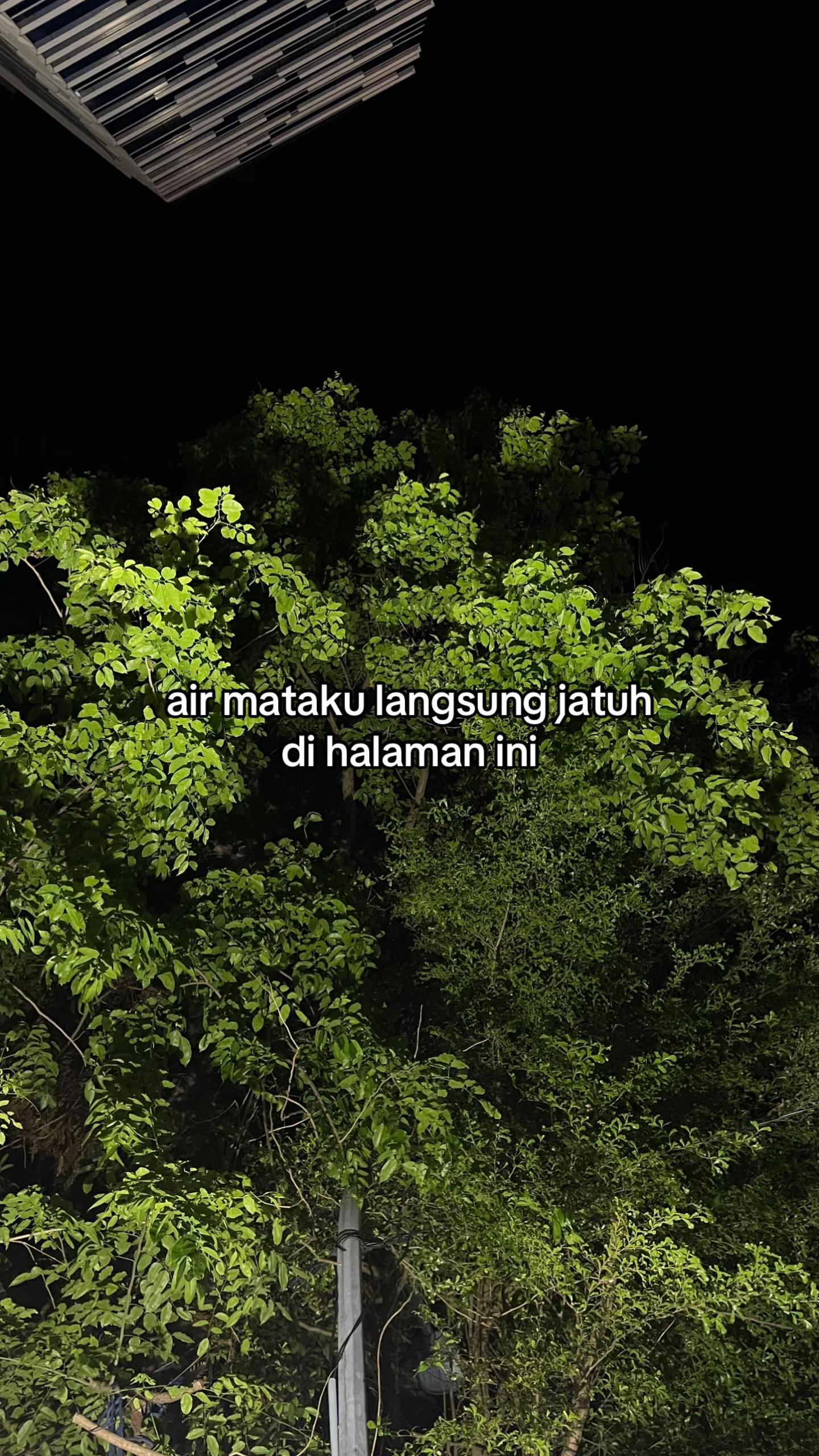 @Umar Nawir