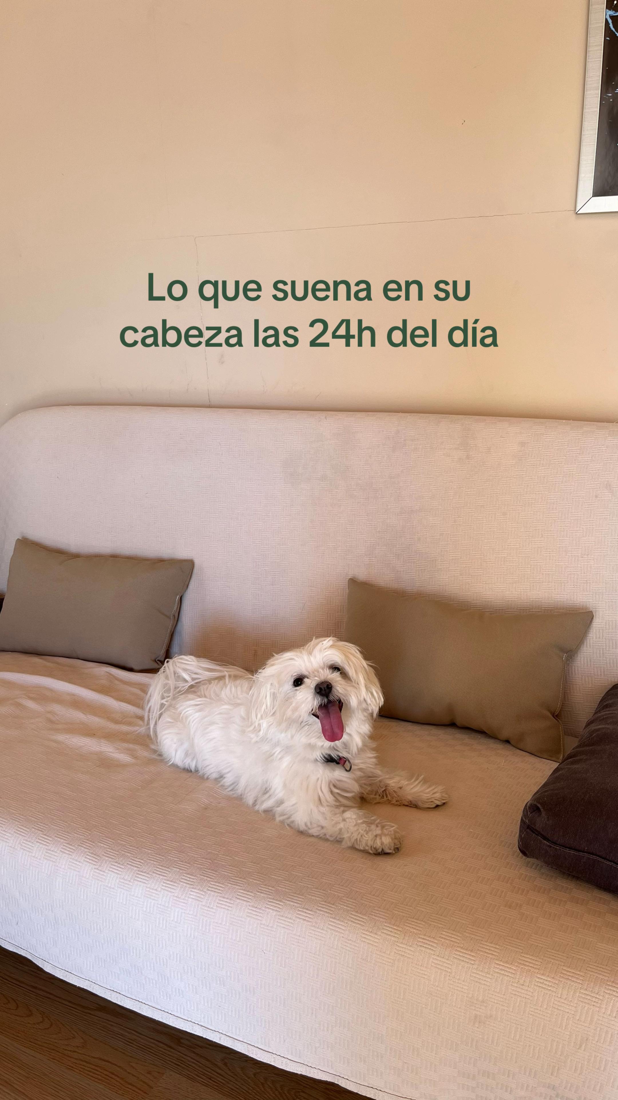 @Nerea García