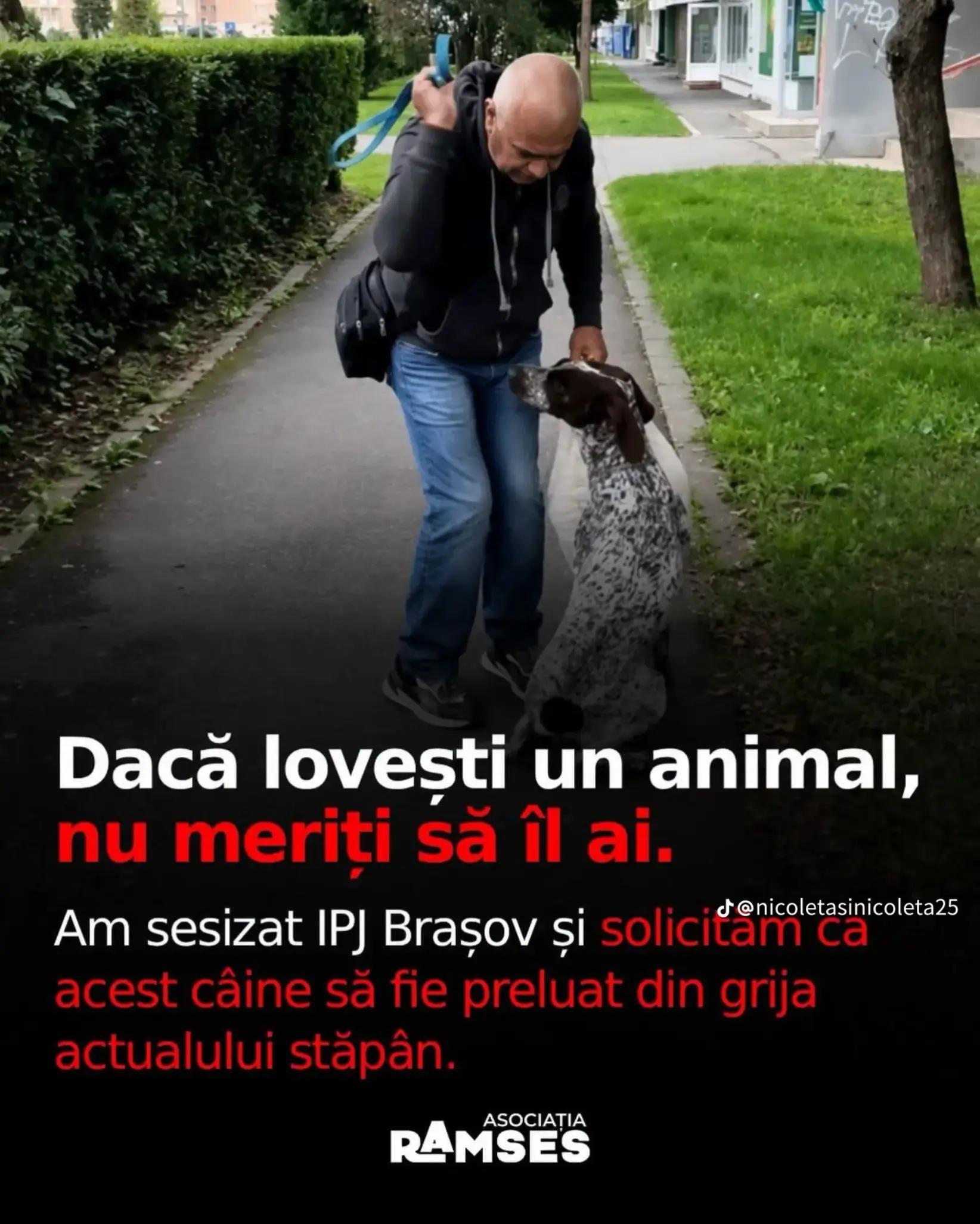@Nevasta lui Botea Laurențiu