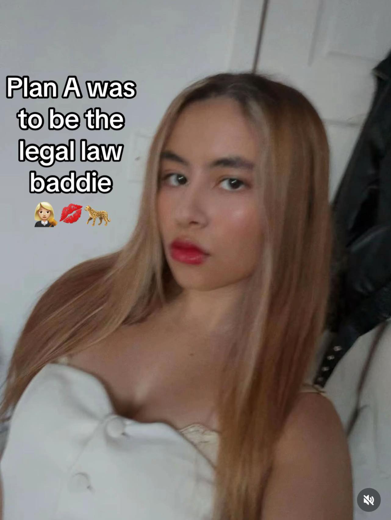 @FutureLawyer₊°༺❤︎༻°₊ 。