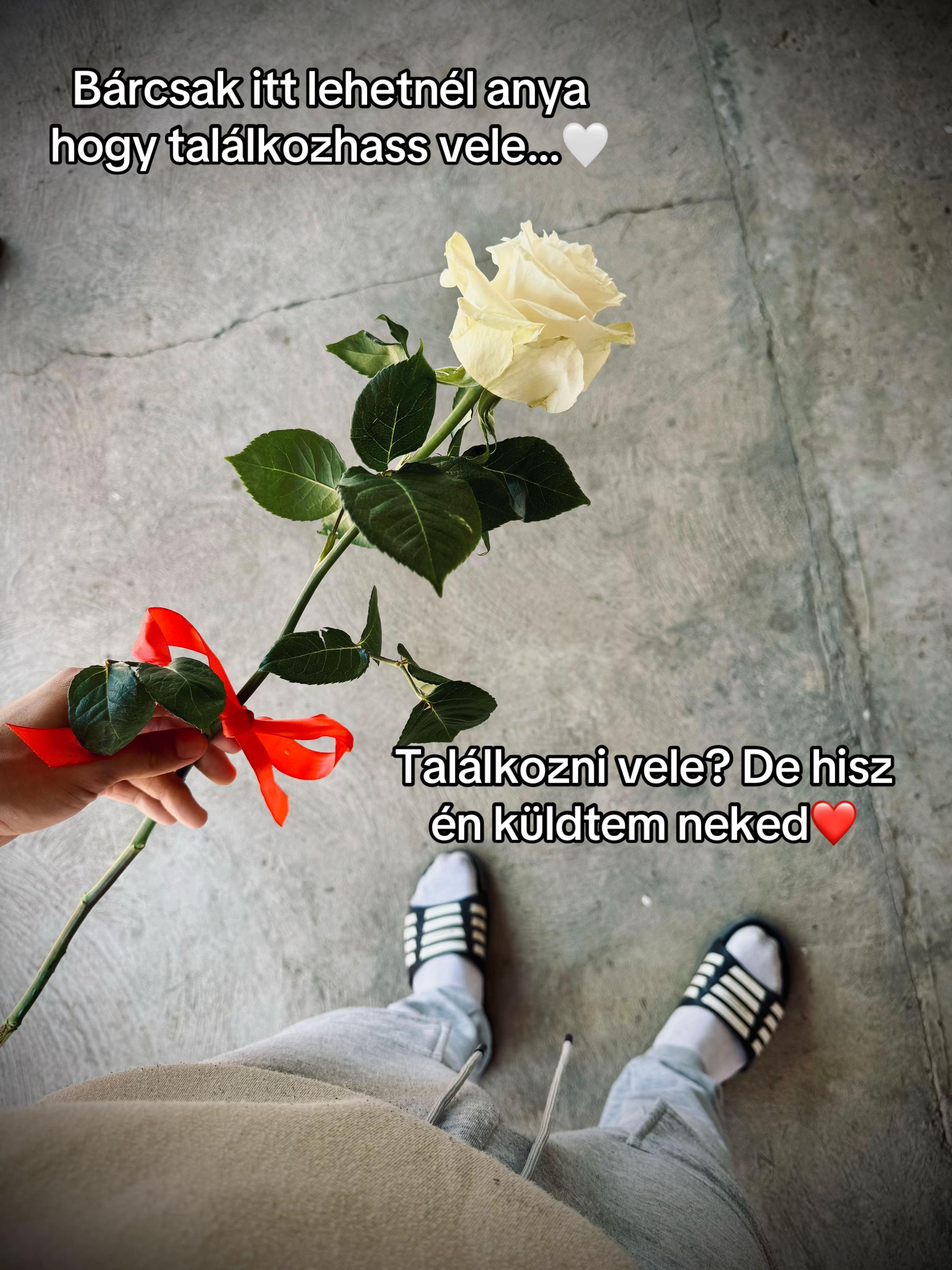 @noorbi_21