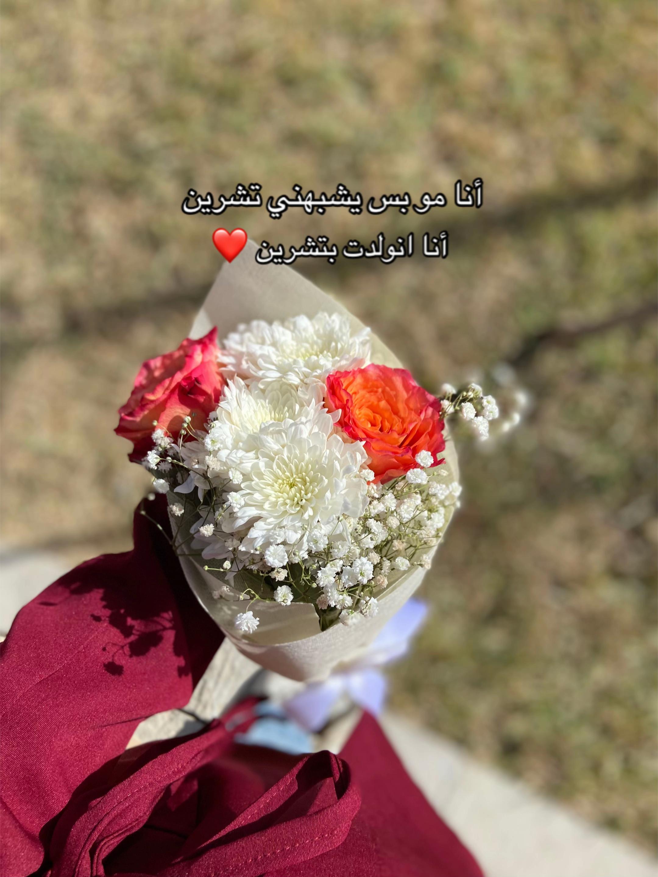 @🕊️