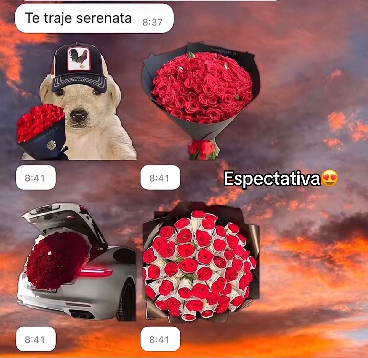 @🩷𝒩𝒾𝓀𝑜_𝒩𝒶𝓉𝓎🩷