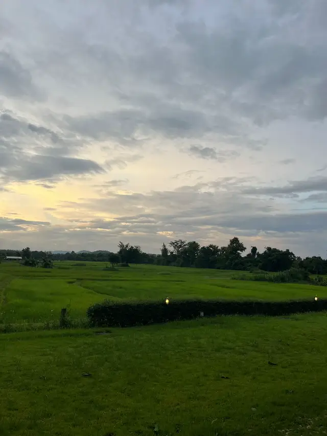 @🌷หนิว หนิว 🦋
