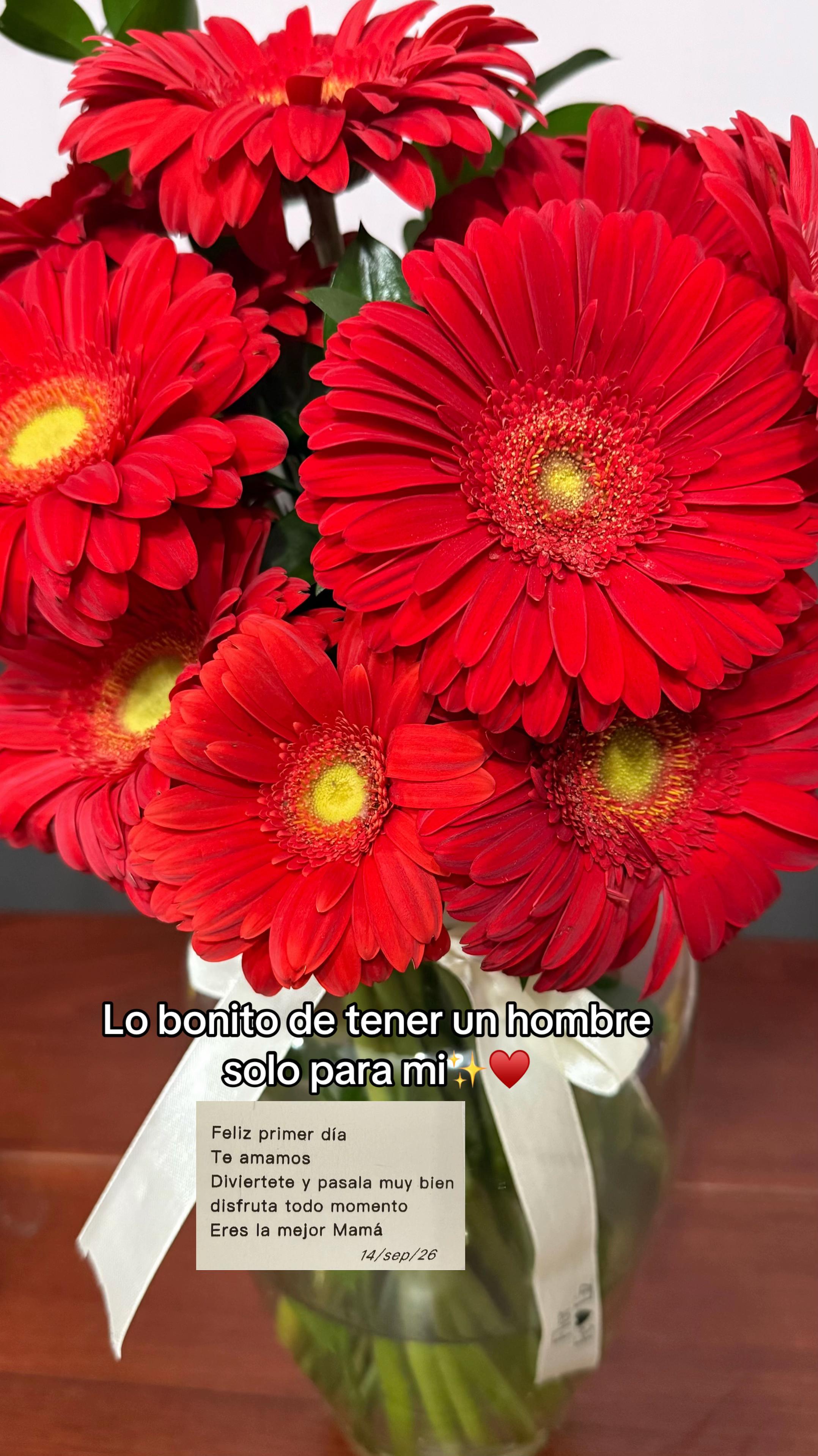 @lulúúúúúúúúúúúúúúúúúú