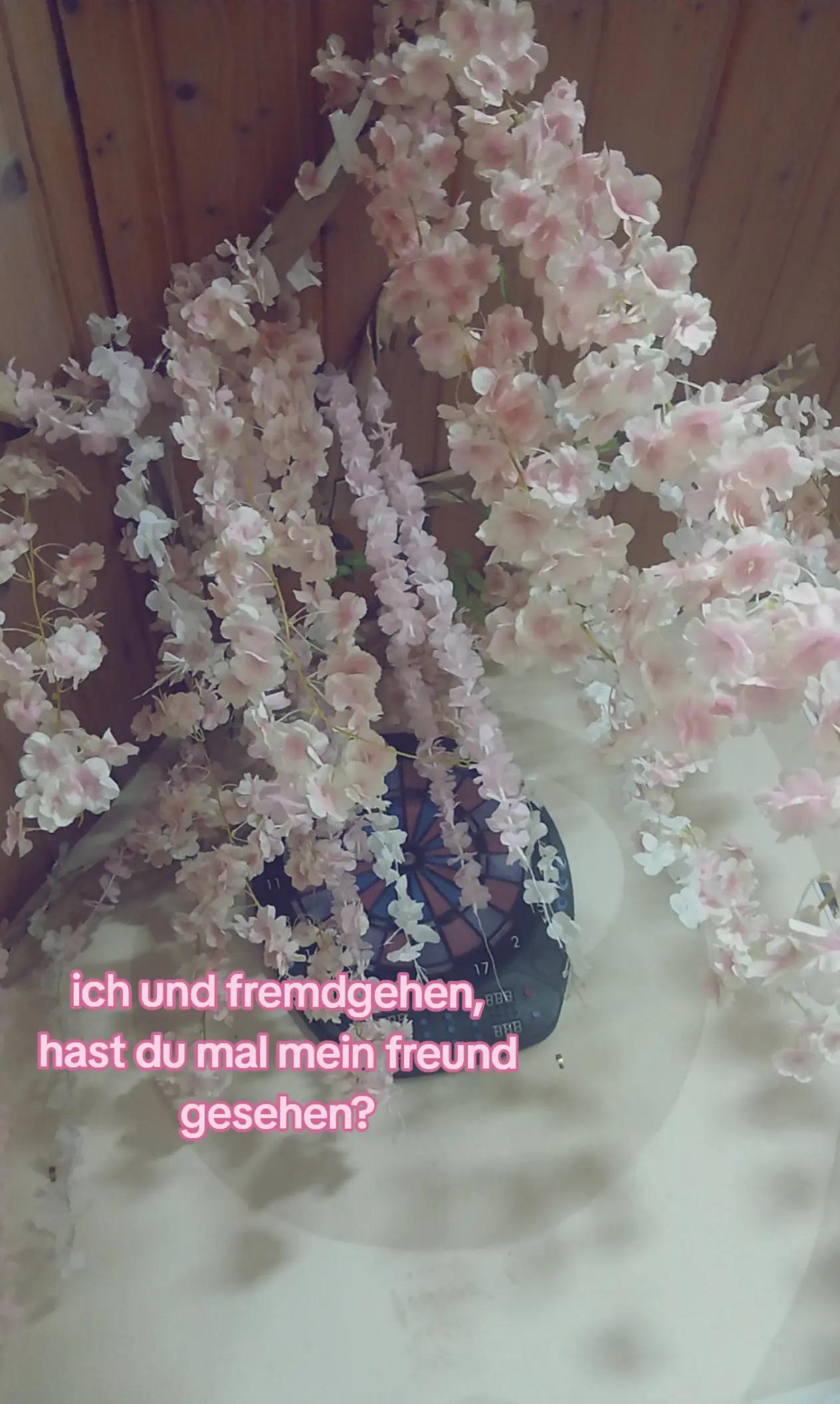 @zoey_love