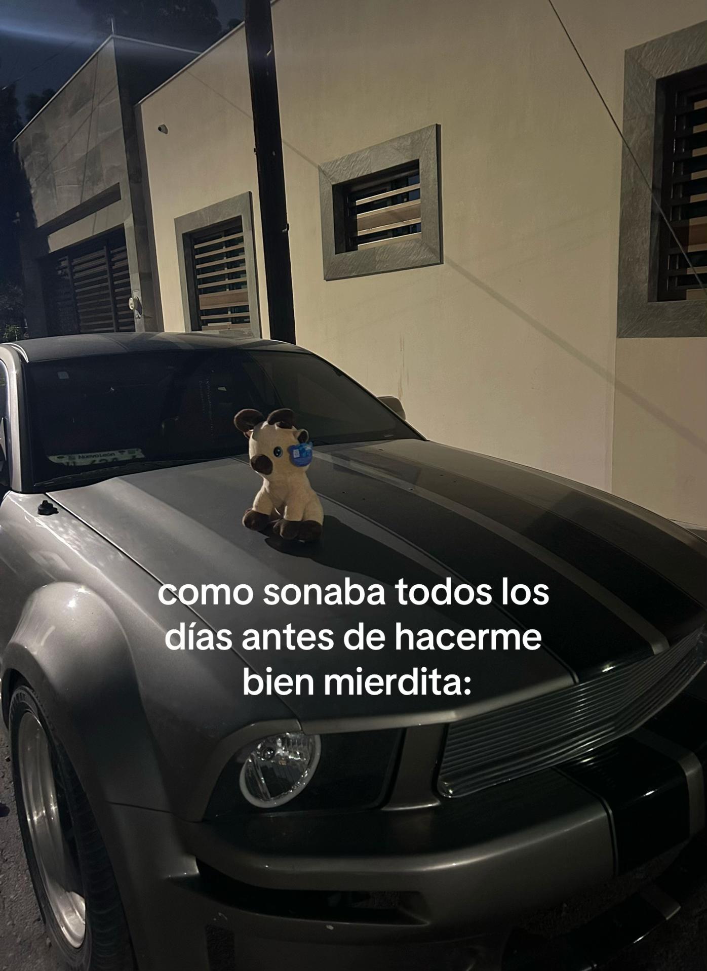 @ℳ𝒶𝓇𝒾ℯ𝓁
