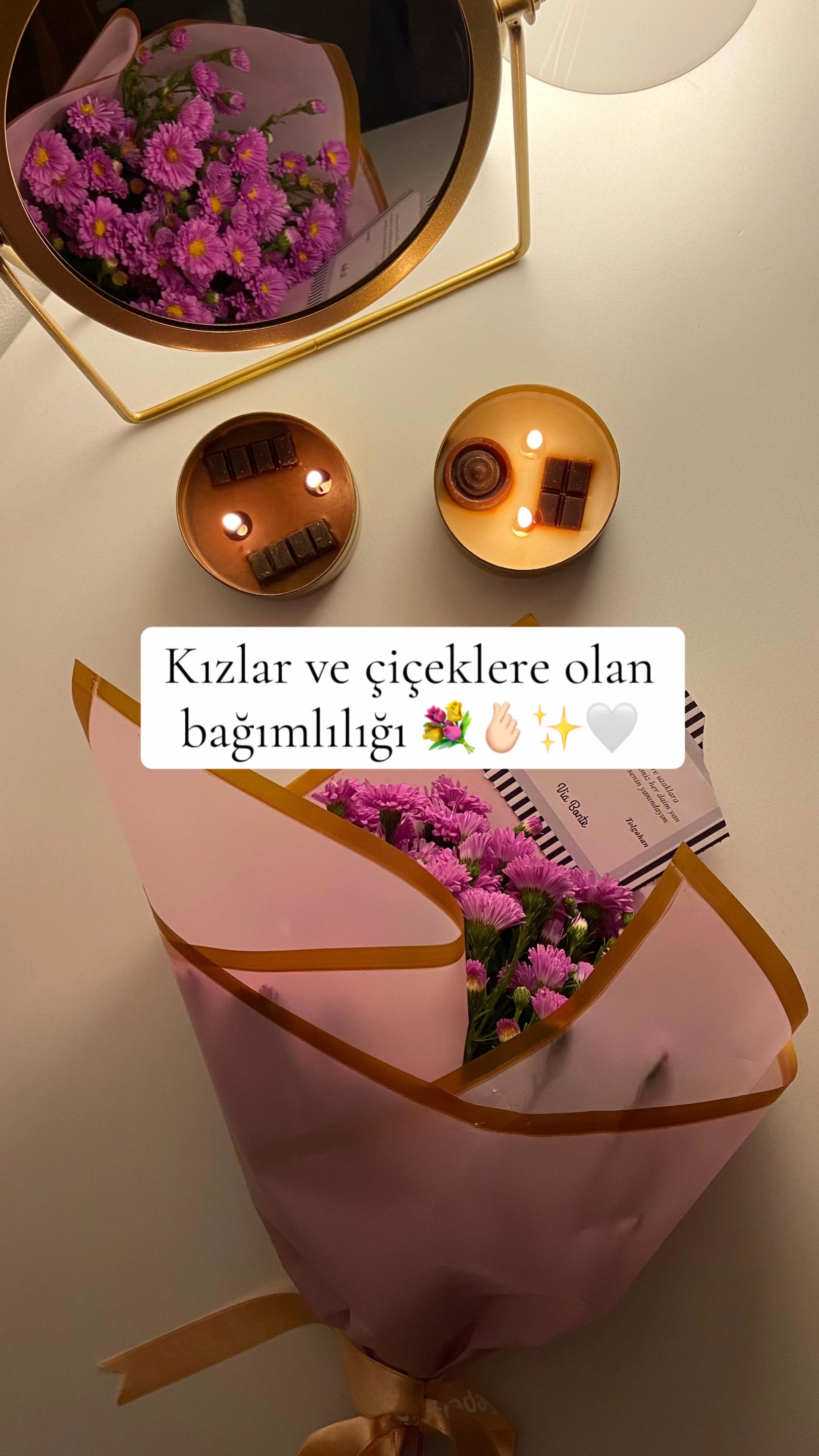 @cansy ✨