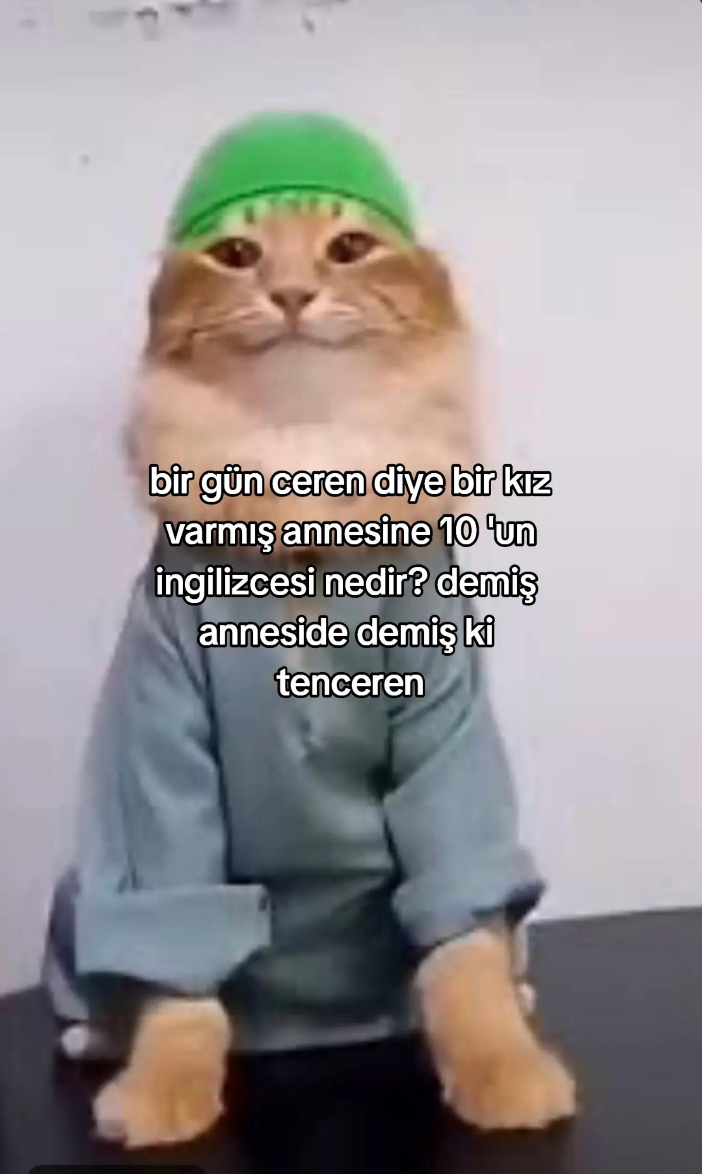 @𝓑𝓮𝓻𝓴𝓪𝔂 🃏