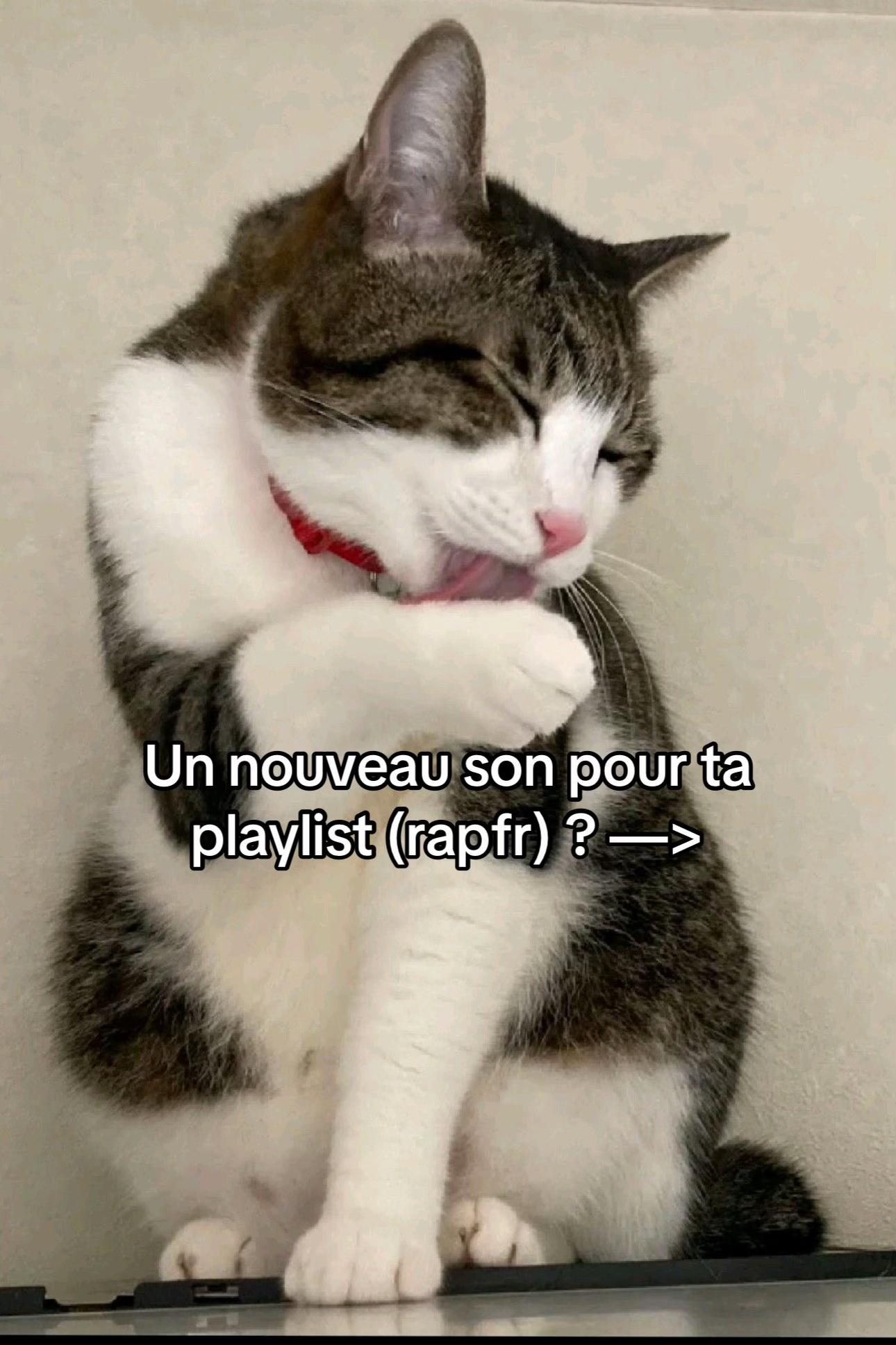 @Mario