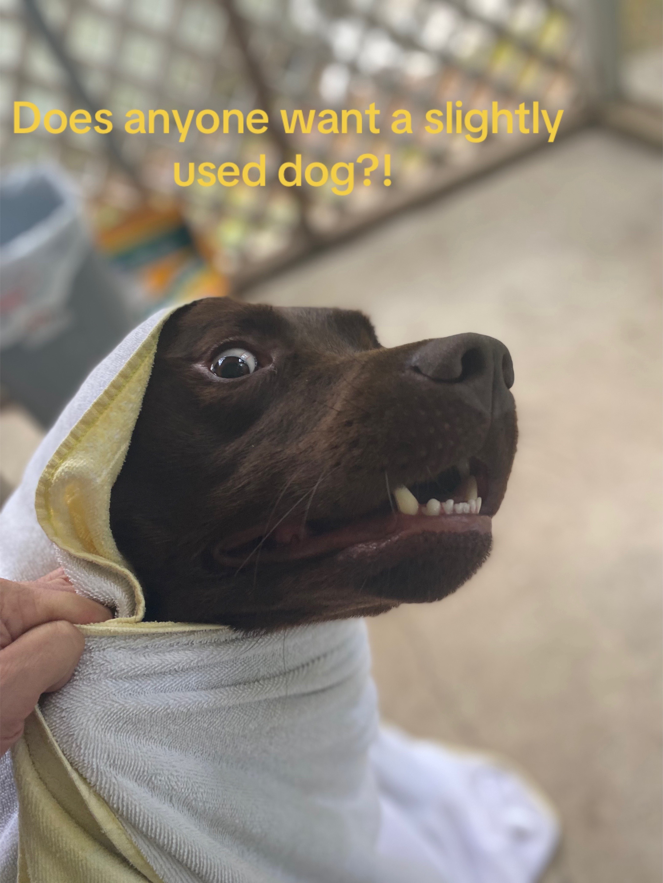 @TheScoopswithCoop
