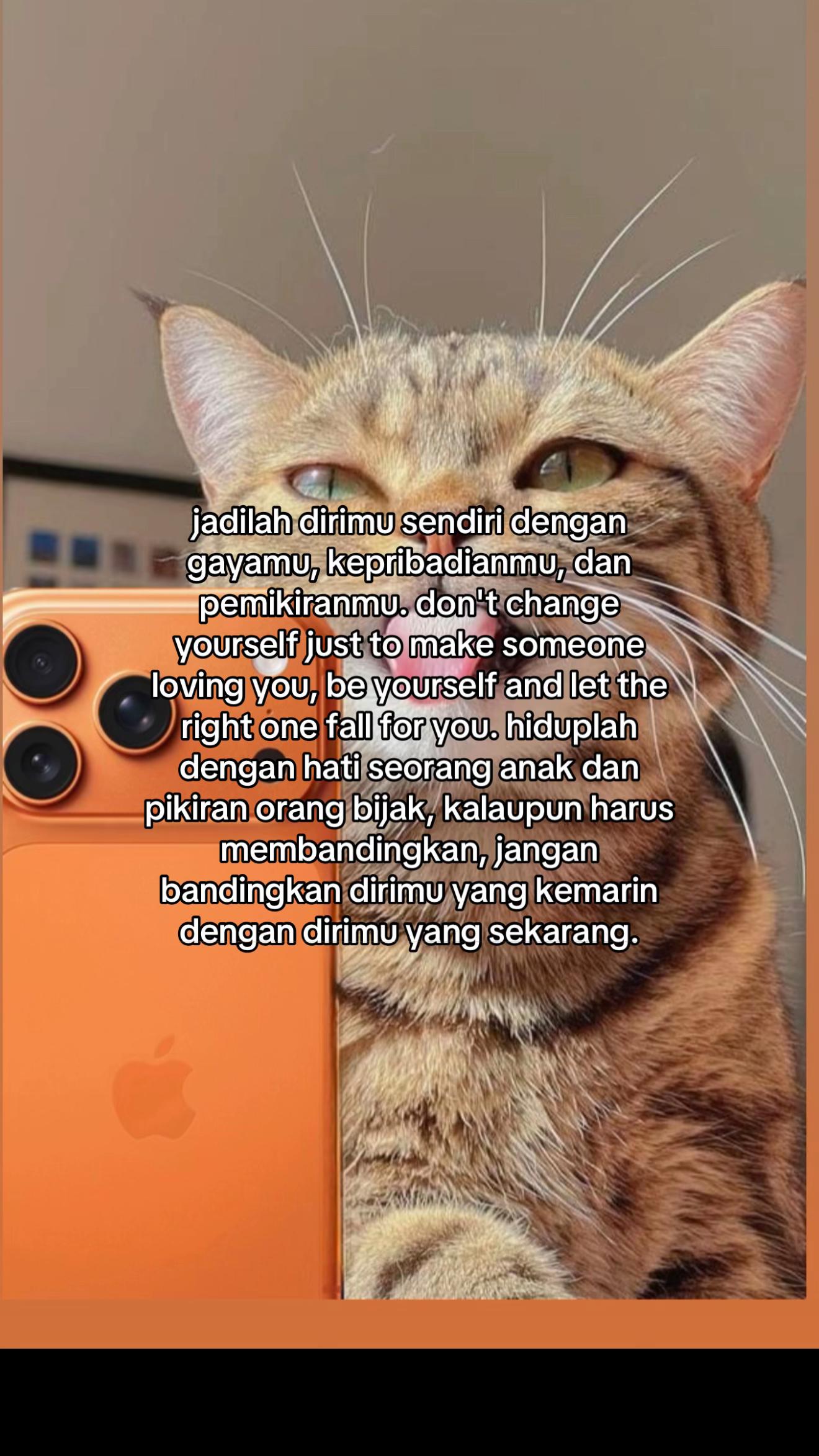 @๐๐๐โก๏ธ๐๐๐๐๐ ๏ฃฟ