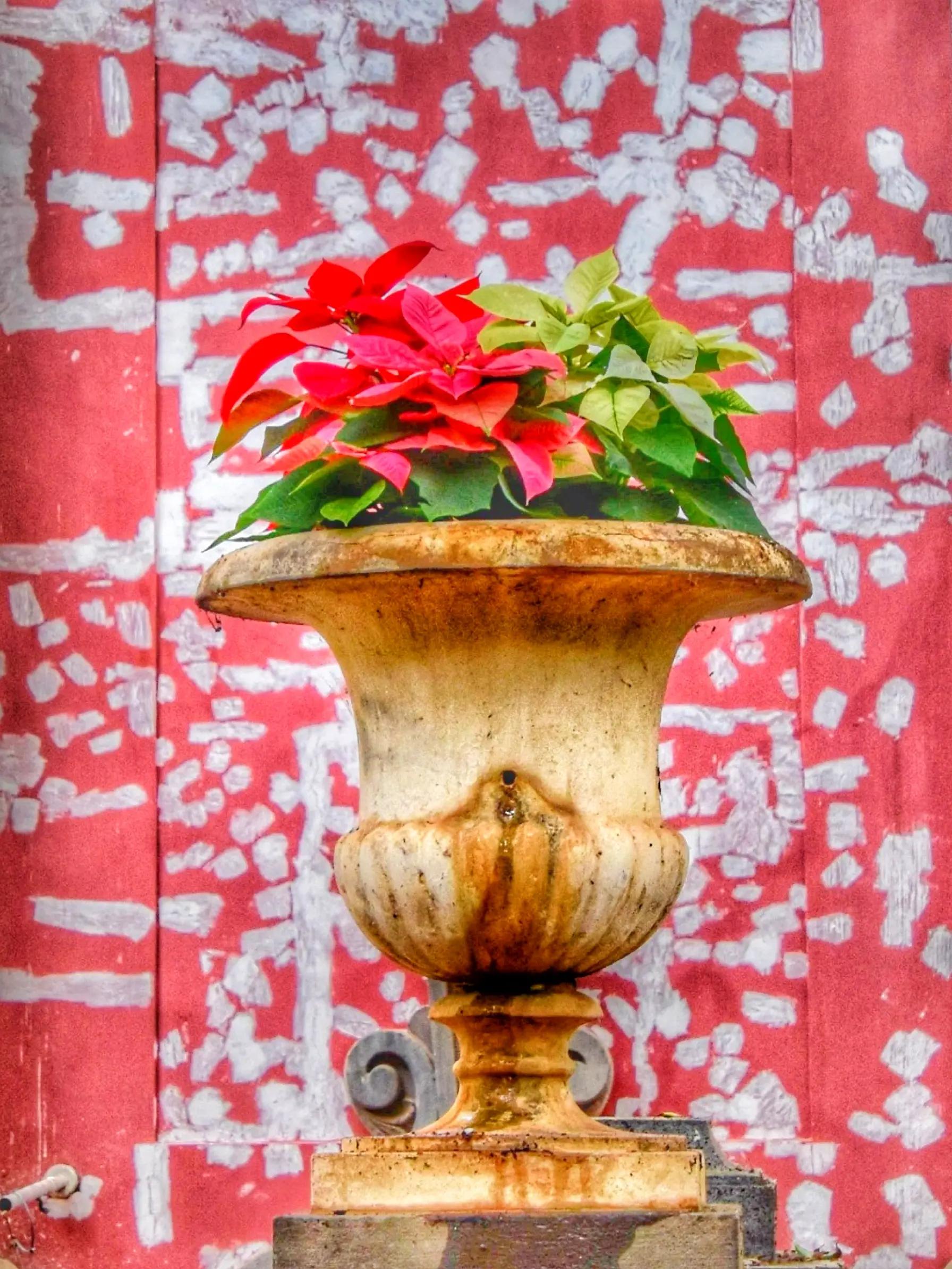 @havr-photo.picfair.com