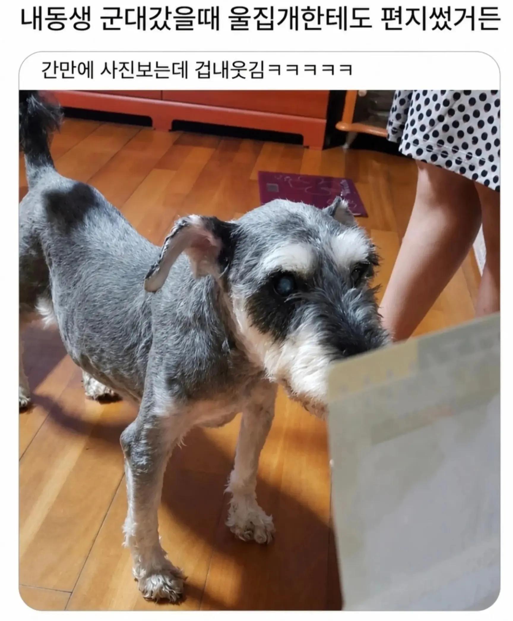 @로이젤