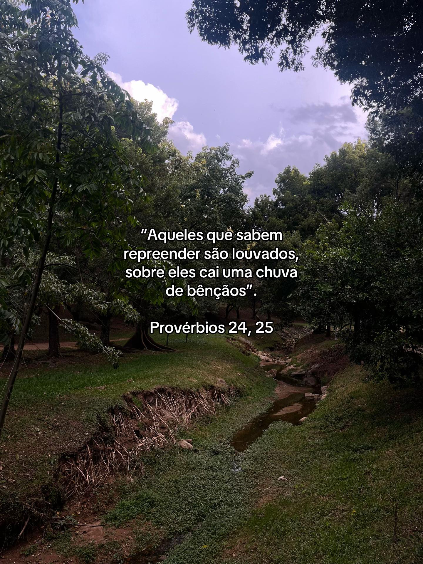 @Rosas Católicas