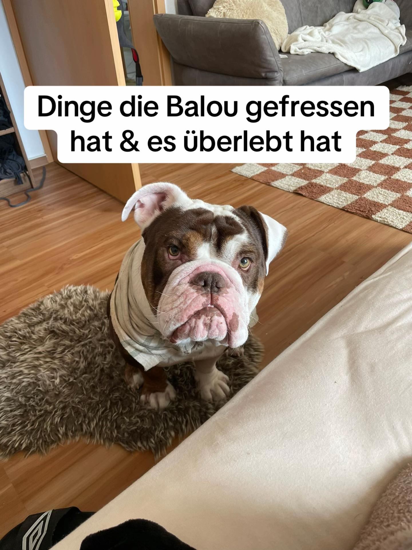 @babalou