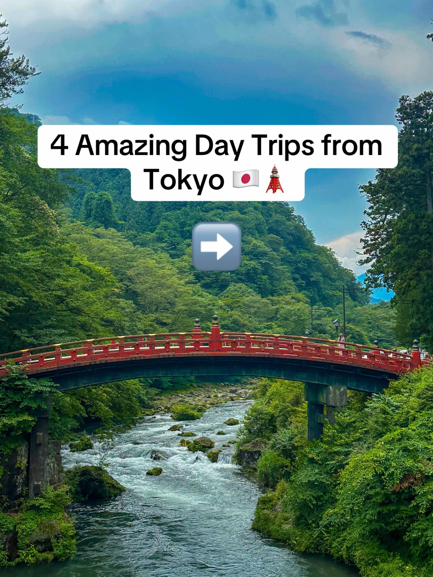 @Tsurugi🎈