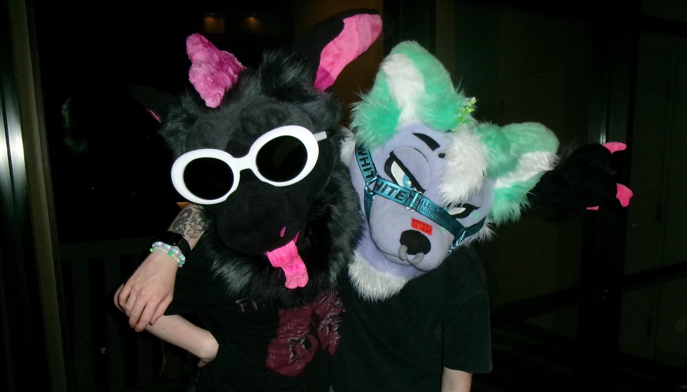 @pawbuttt🔜 MFF