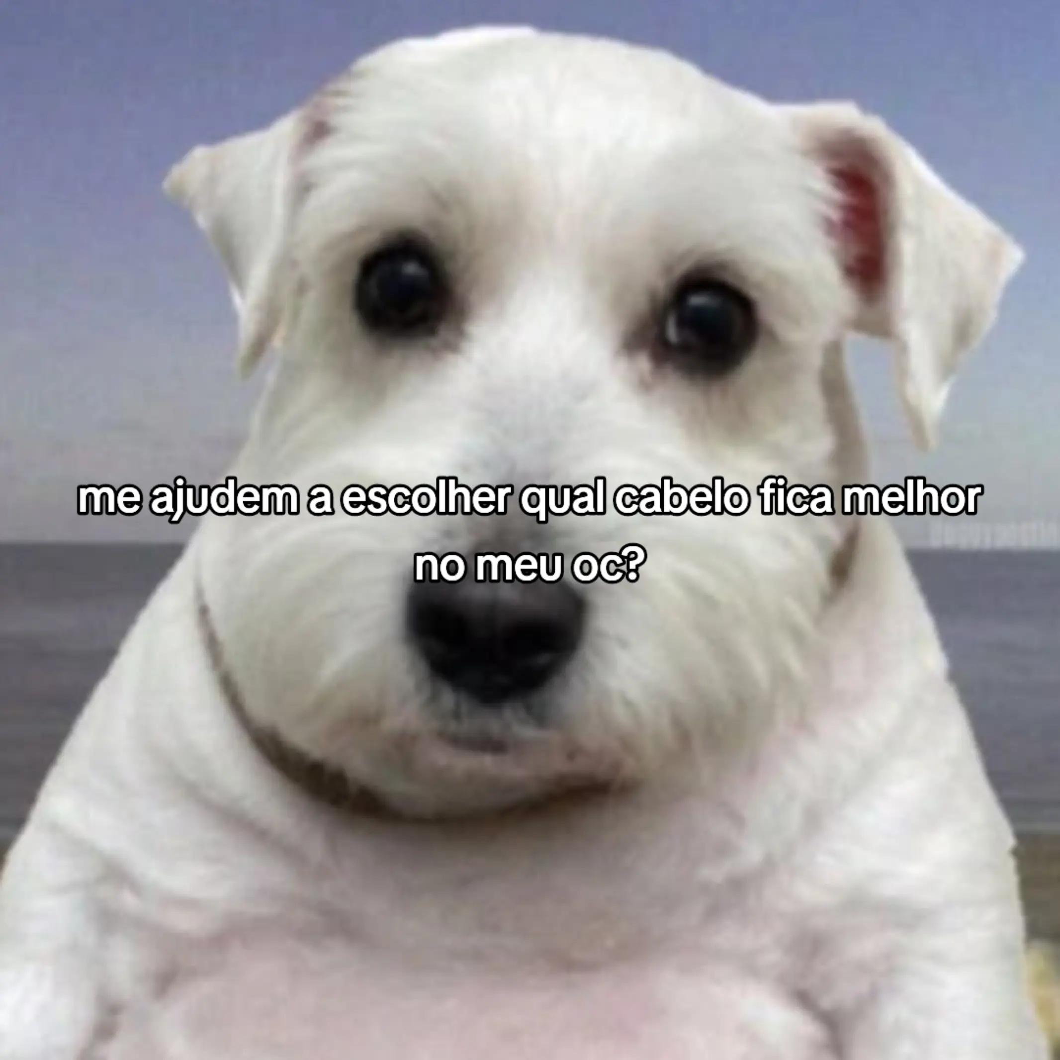 @Mιgᥙᥱᥣ gᥙᥱᥣ