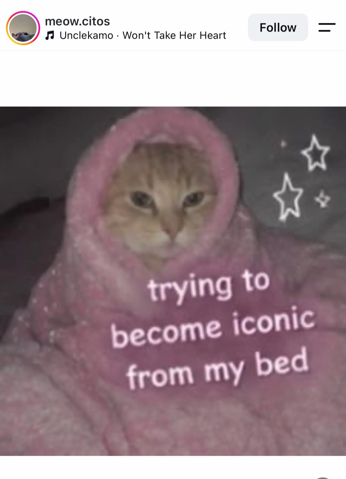 @Monster Poppy Jack