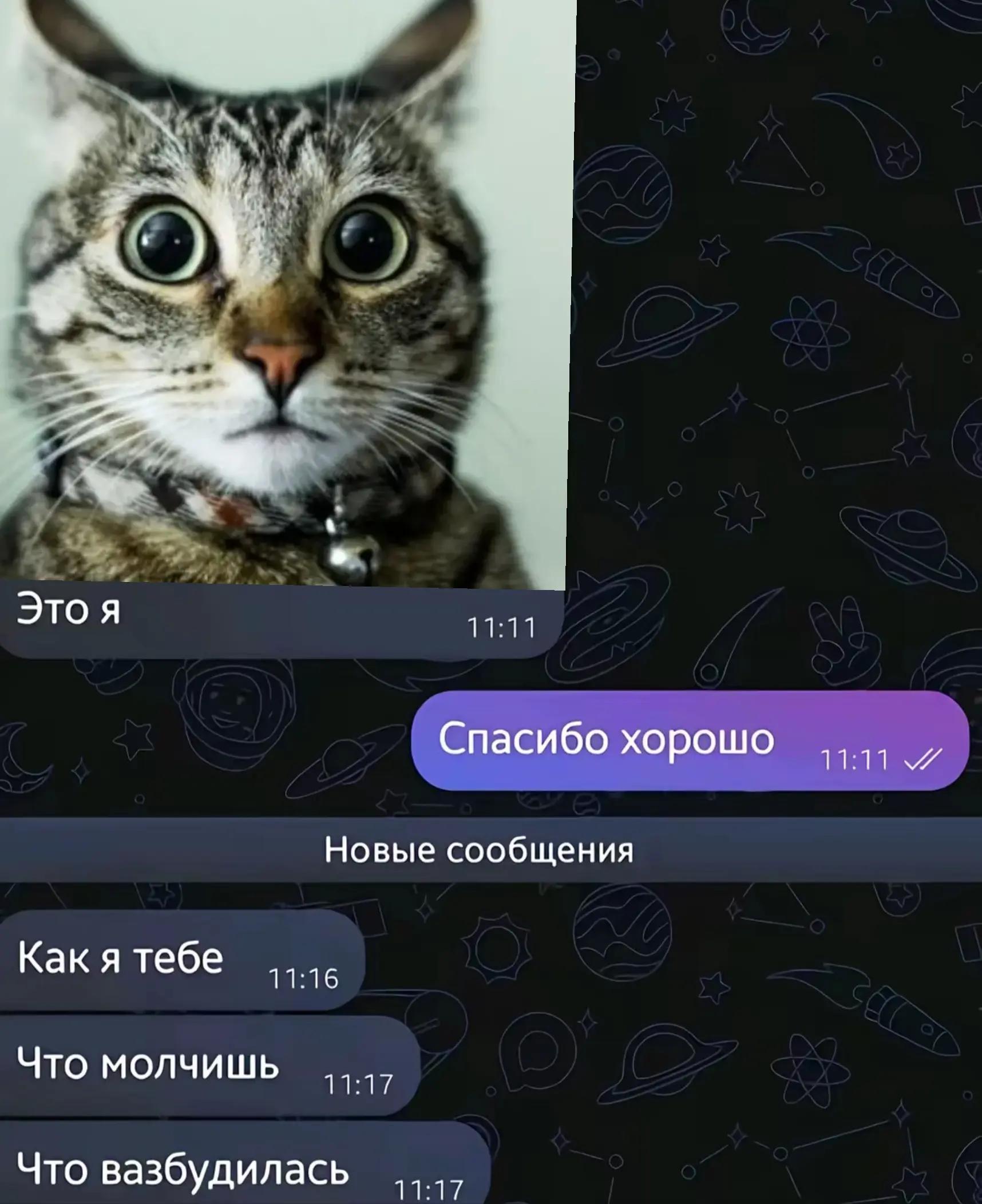 @kote