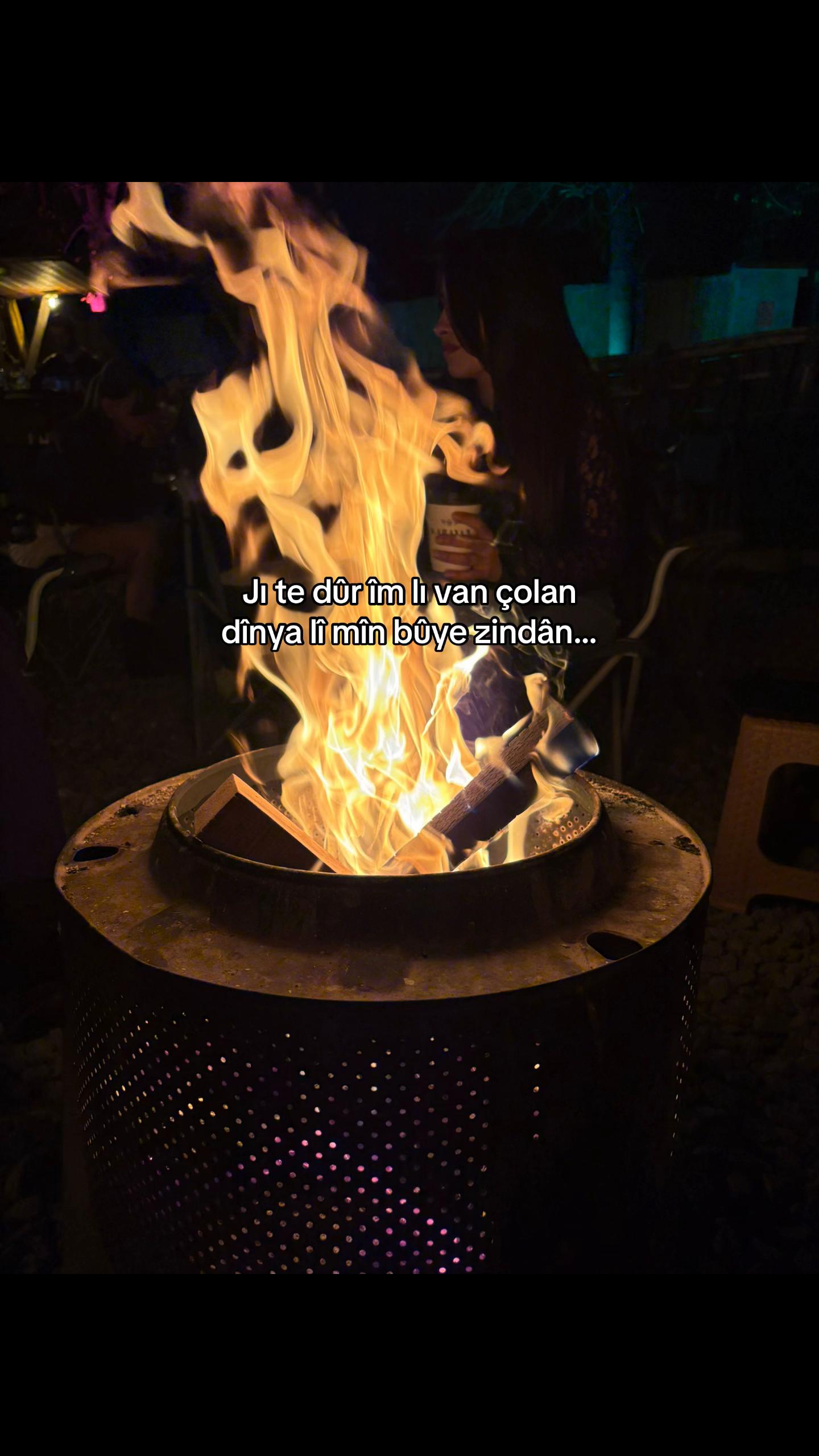 @rojin