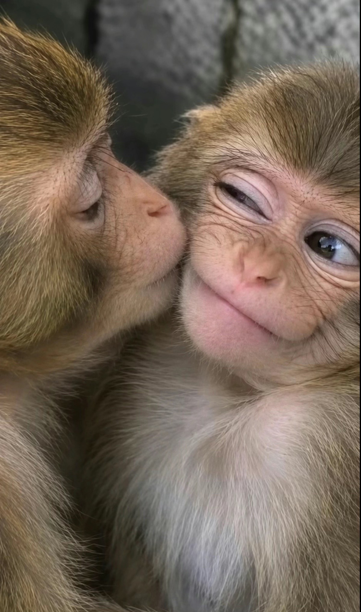 @Bebaaa🦹🏻♀️