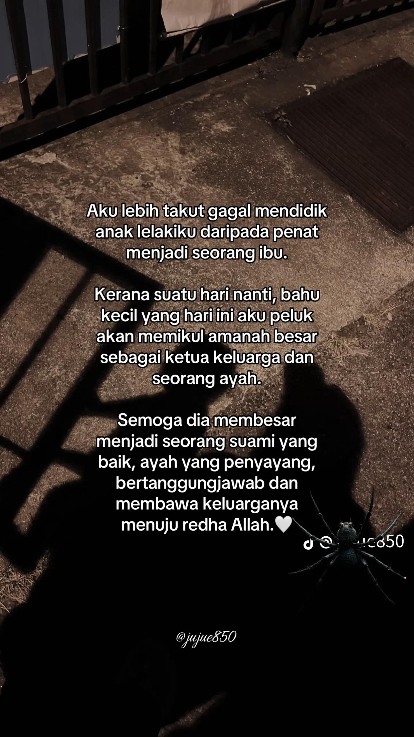 @Shida
