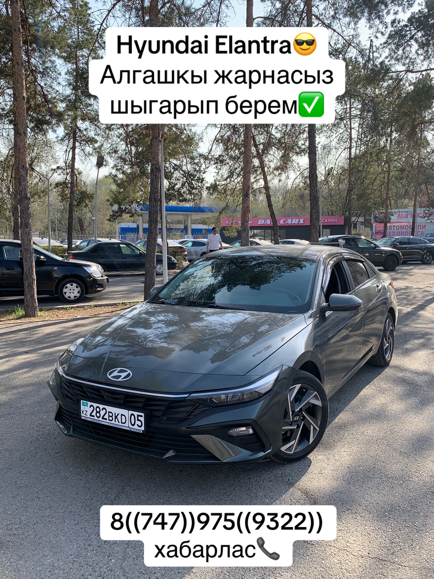 @bay_cars