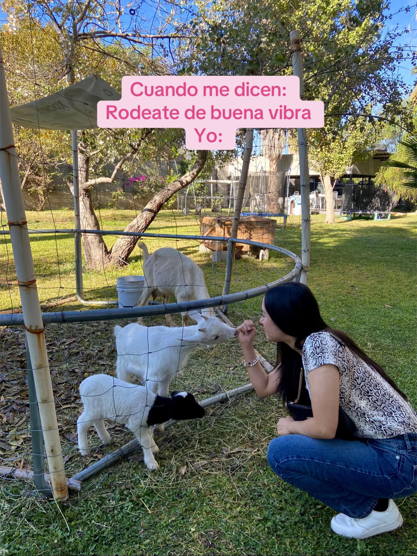 @mich