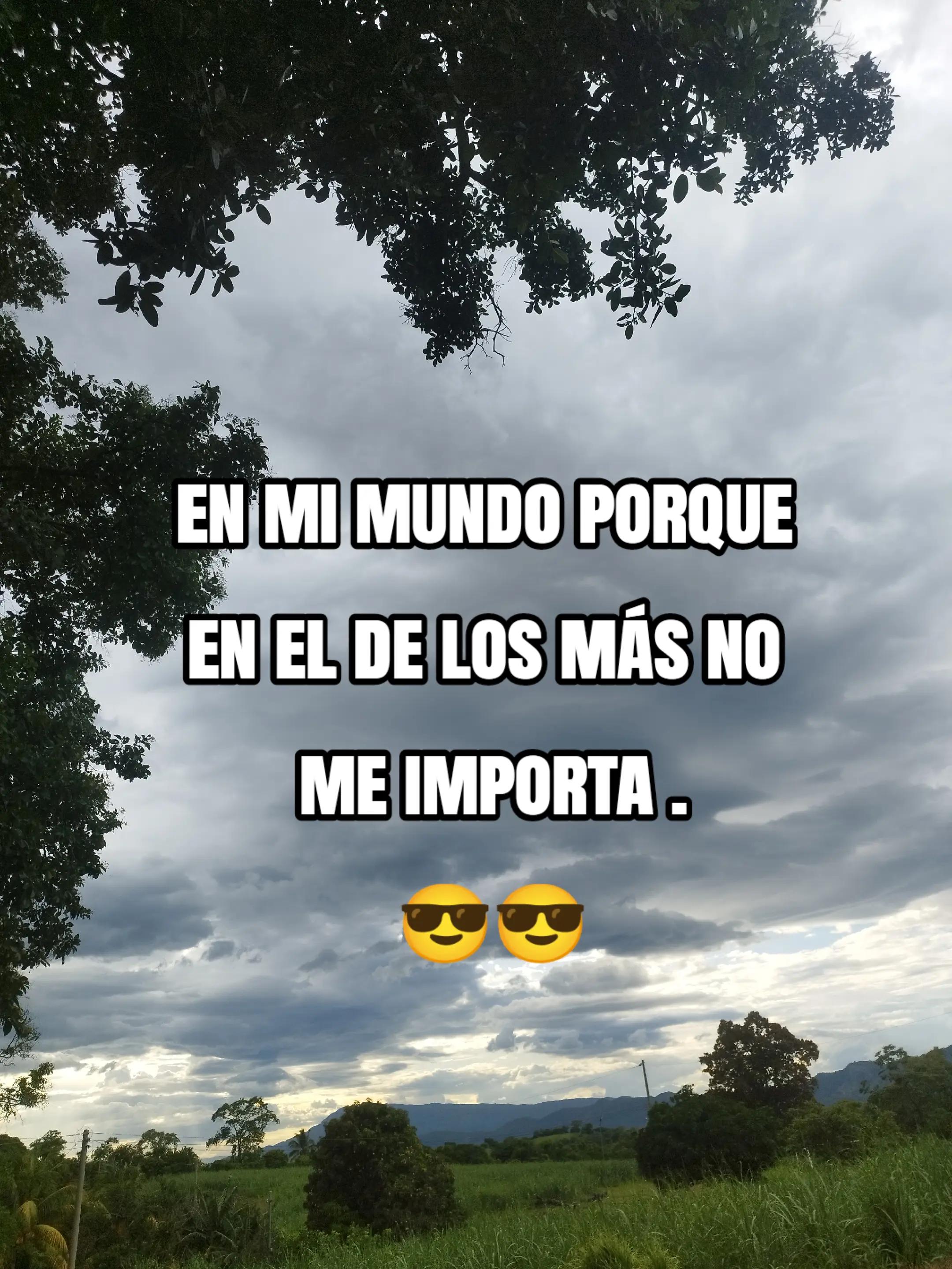 @🌟💫Estrellita⁴¹💫🌟