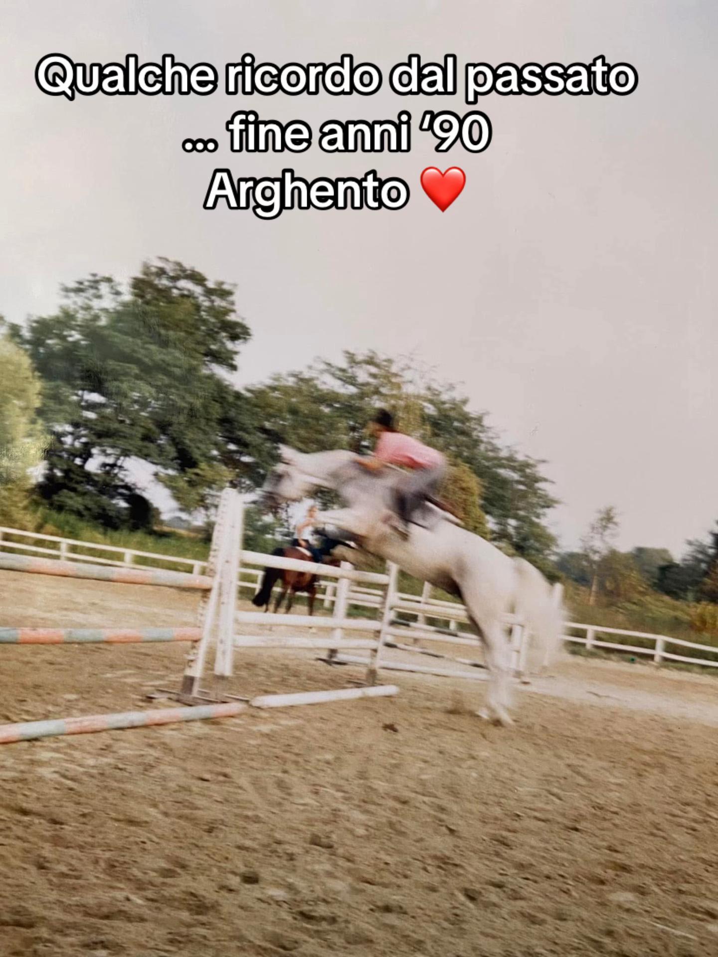 @Ponyclubilgattoelavolpe